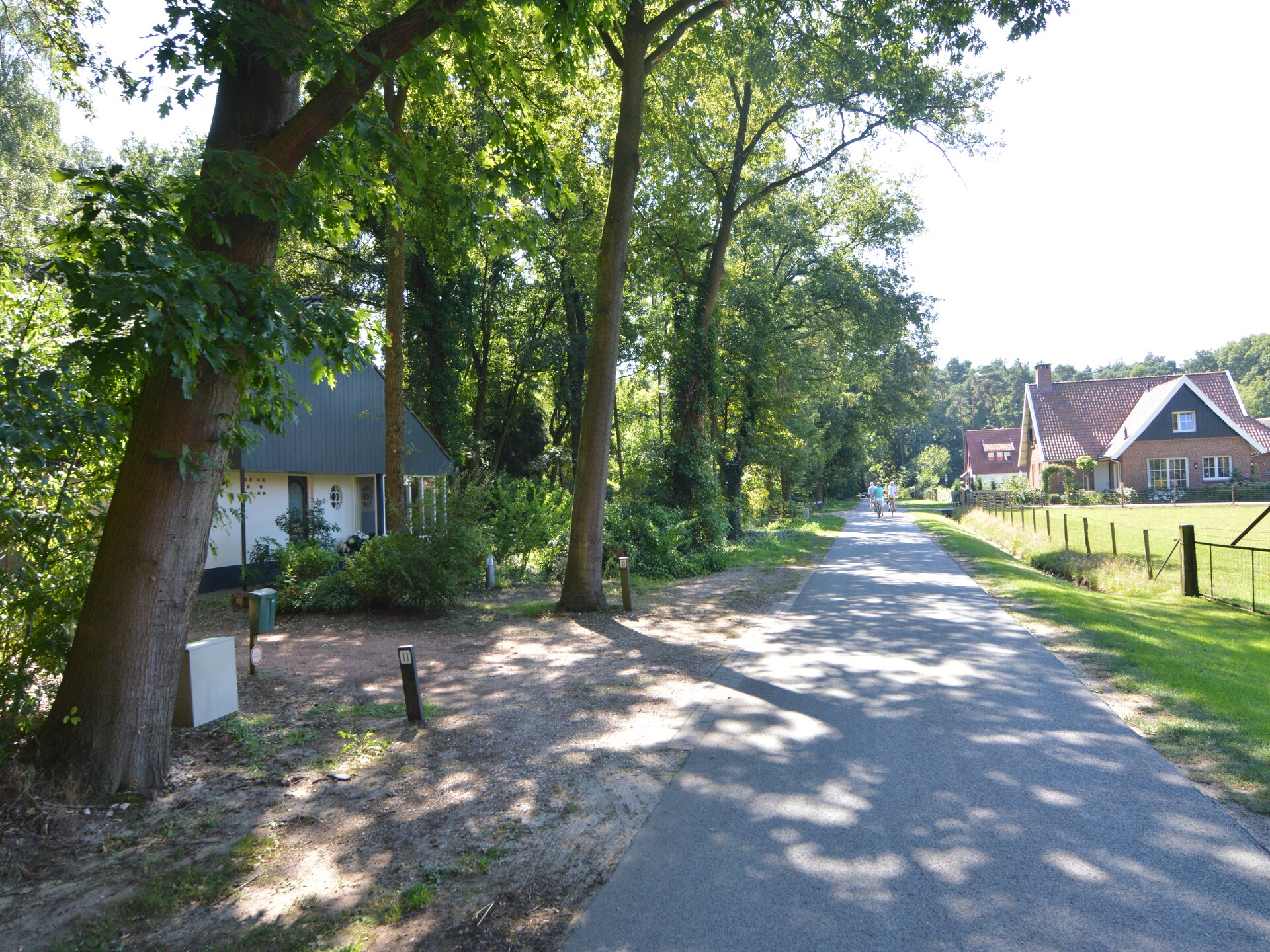 De Ouwe Diepvries: knus vakantiehuis in het bos van Haaksbergen - foto 18