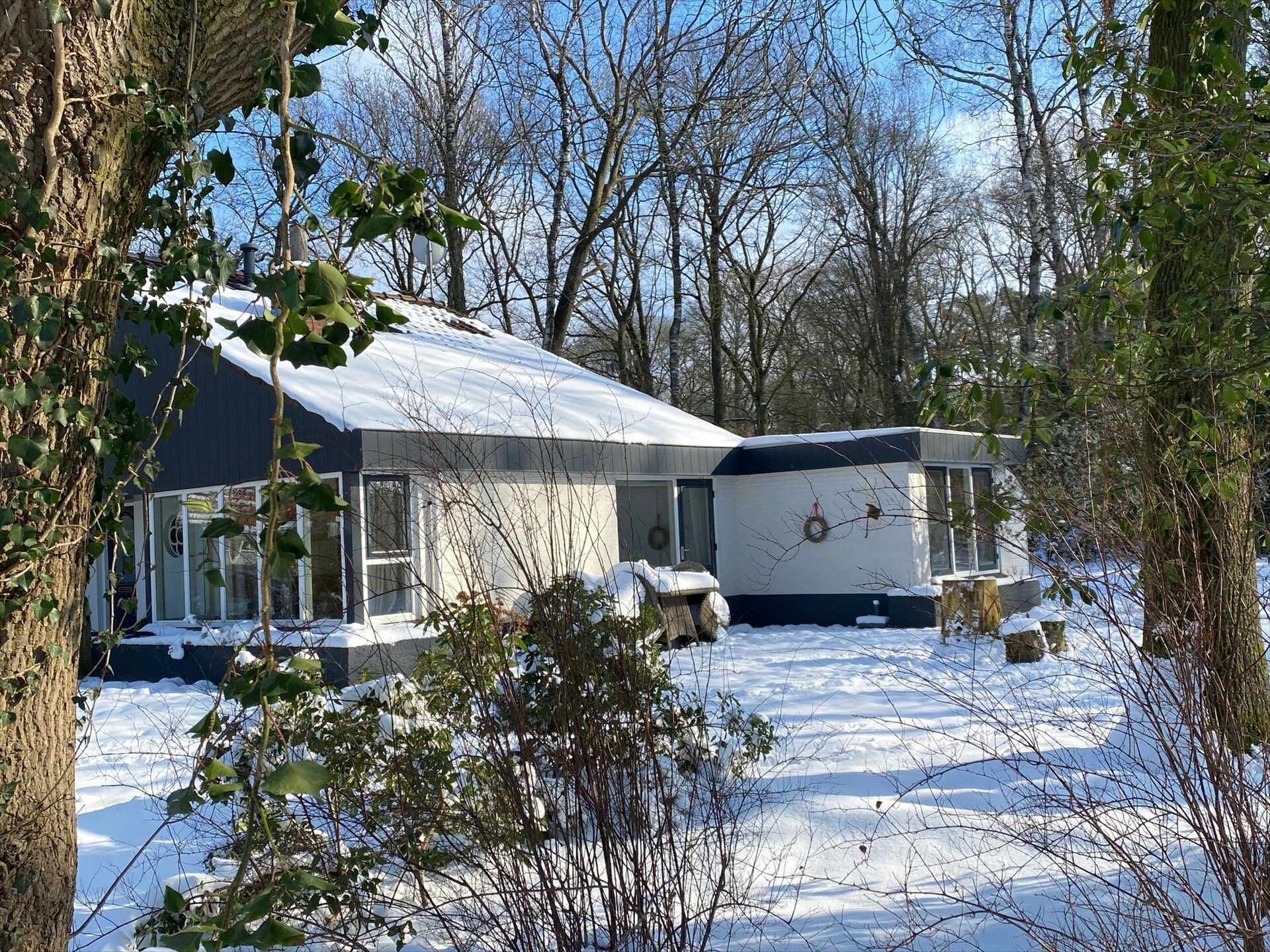 De Ouwe Diepvries: knus vakantiehuis in het bos van Haaksbergen - foto 38