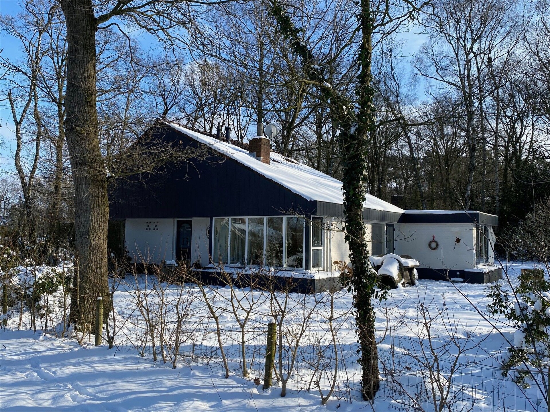 De Ouwe Diepvries: knus vakantiehuis in het bos van Haaksbergen - foto 37