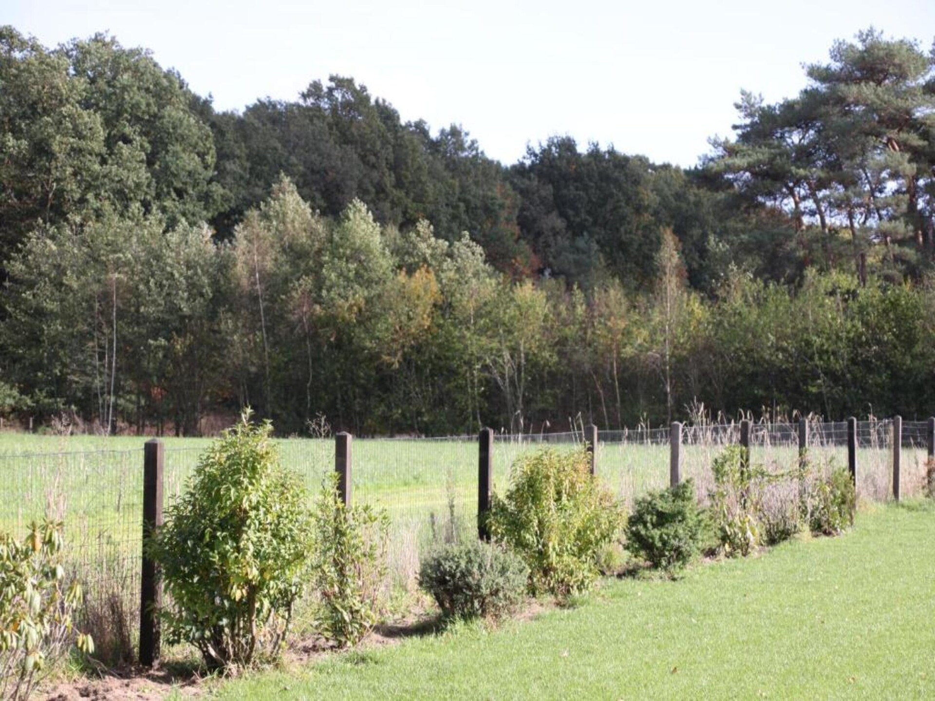 De Ouwe Diepvries: knus vakantiehuis in het bos van Haaksbergen - foto 29