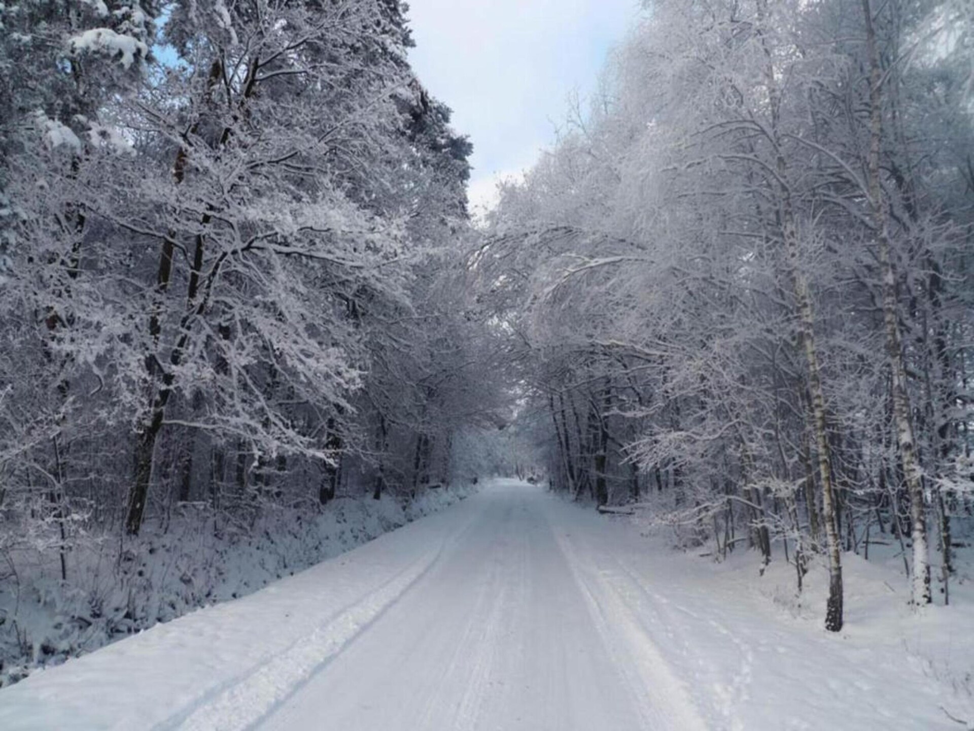 De Ouwe Diepvries: knus vakantiehuis in het bos van Haaksbergen - foto 39