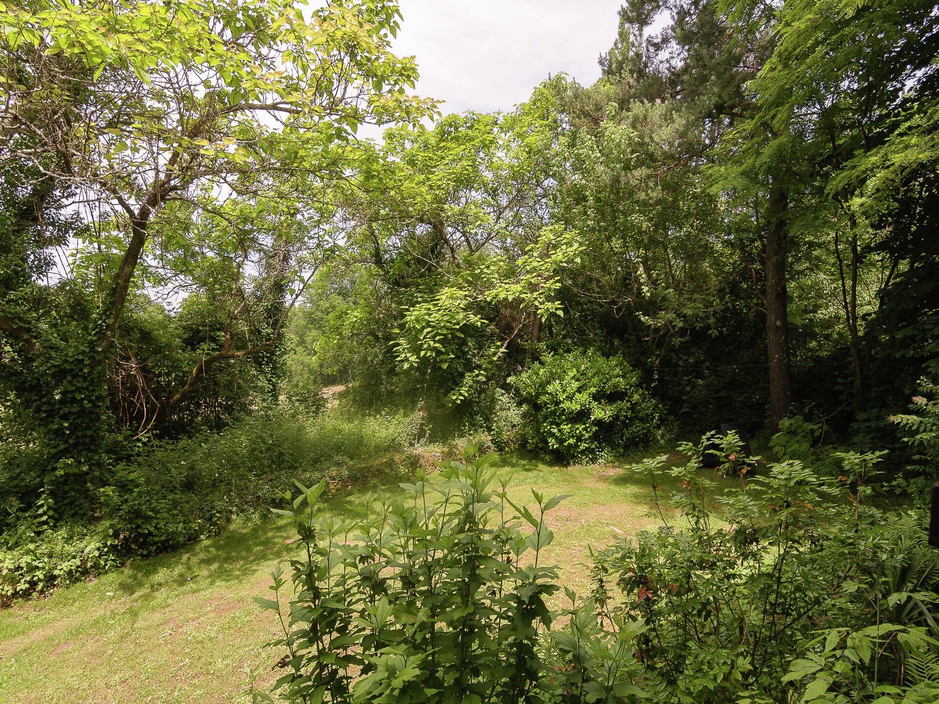 La Bergerie: Romantisch landhuisje voor 2 in de bossen van Les Eyzies - foto 10