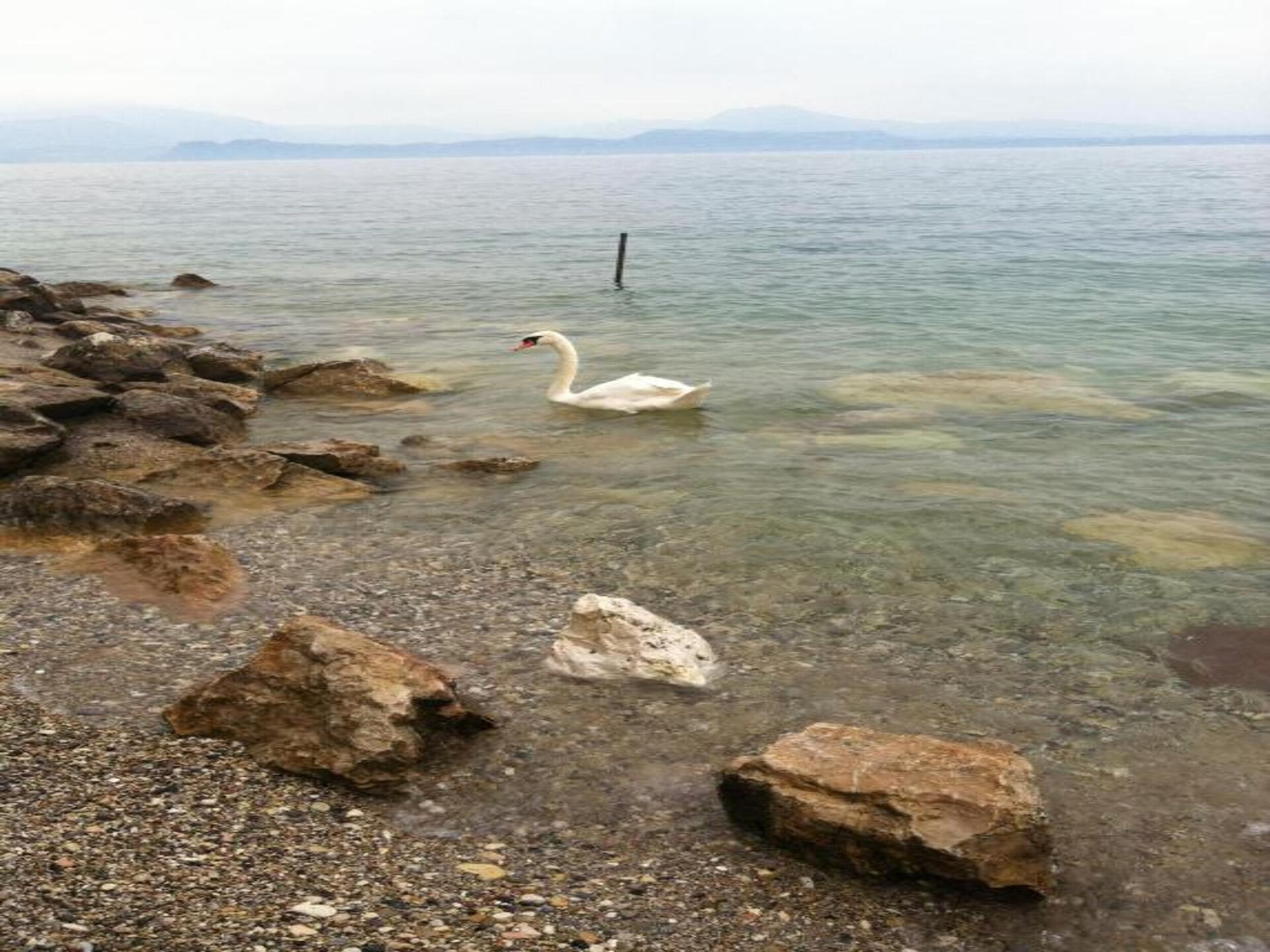 4-persoons appartement aan het meer in Sirmione - foto 32
