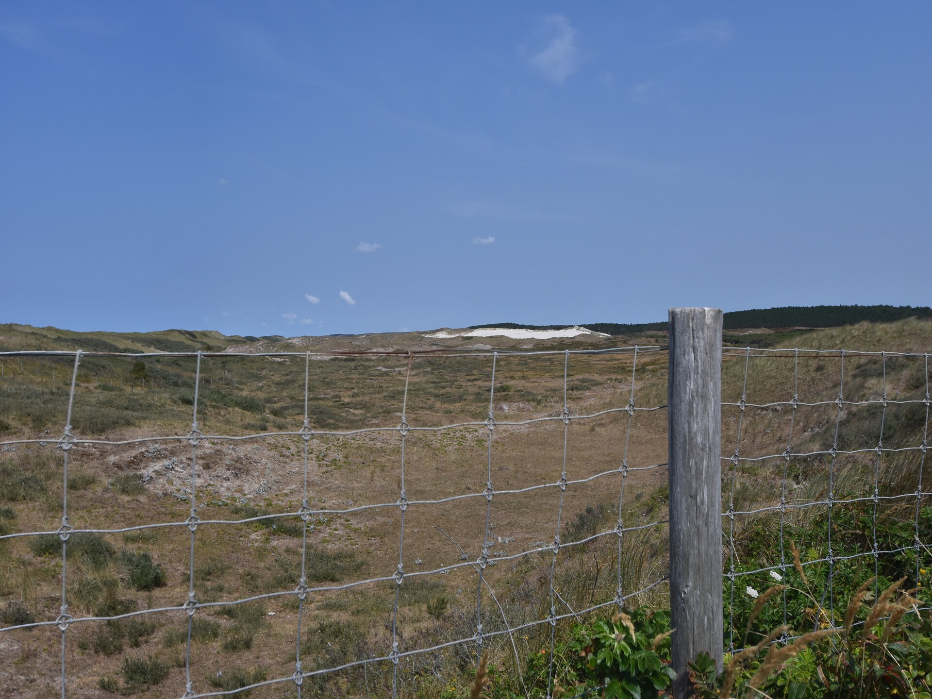 Huize Glory Parel: sfeervol vakantiehuis tussen bos en strand in Bergen aan Zee - foto 25