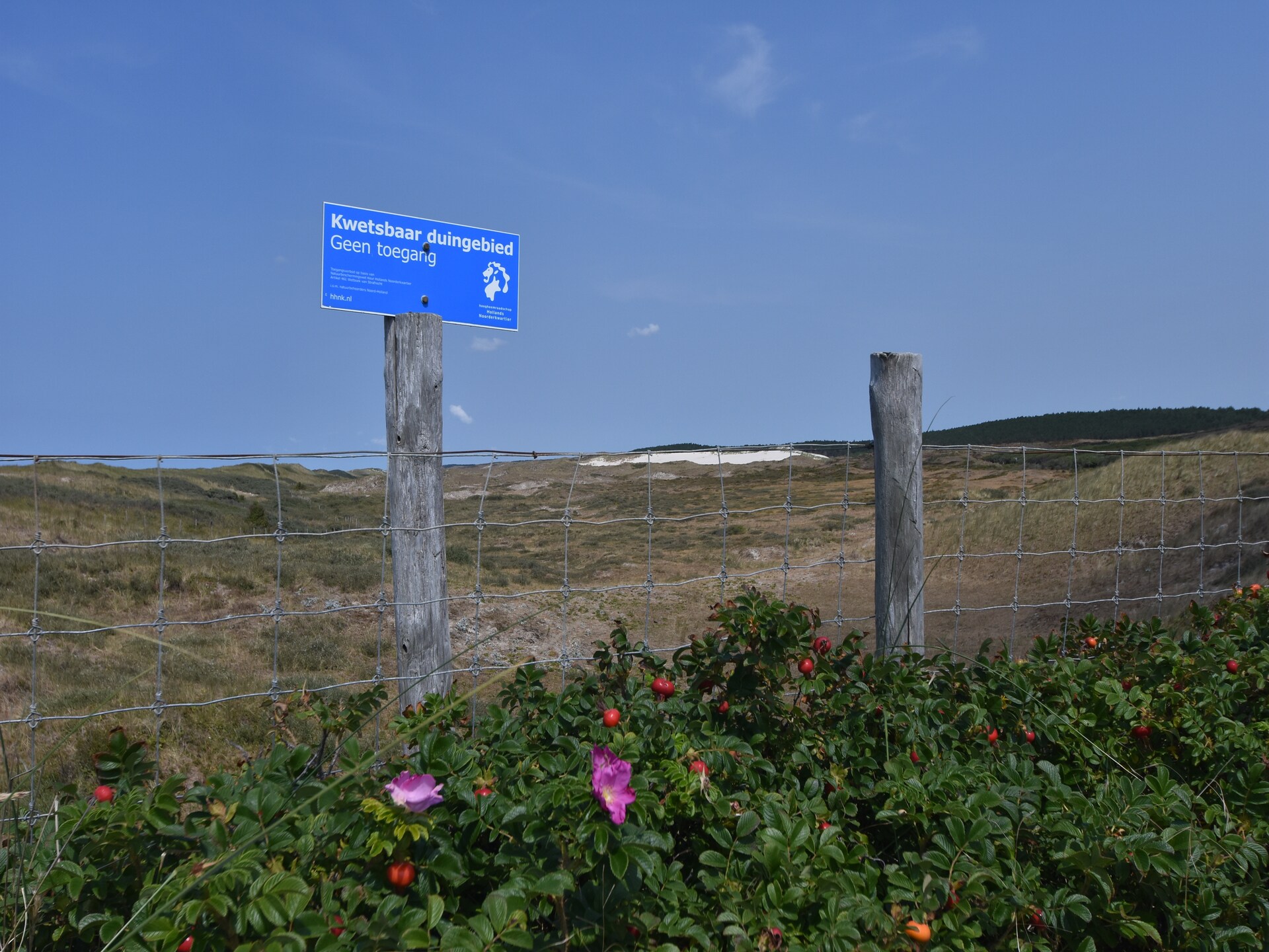 Huize Glory Parel: sfeervol vakantiehuis tussen bos en strand in Bergen aan Zee - foto 22