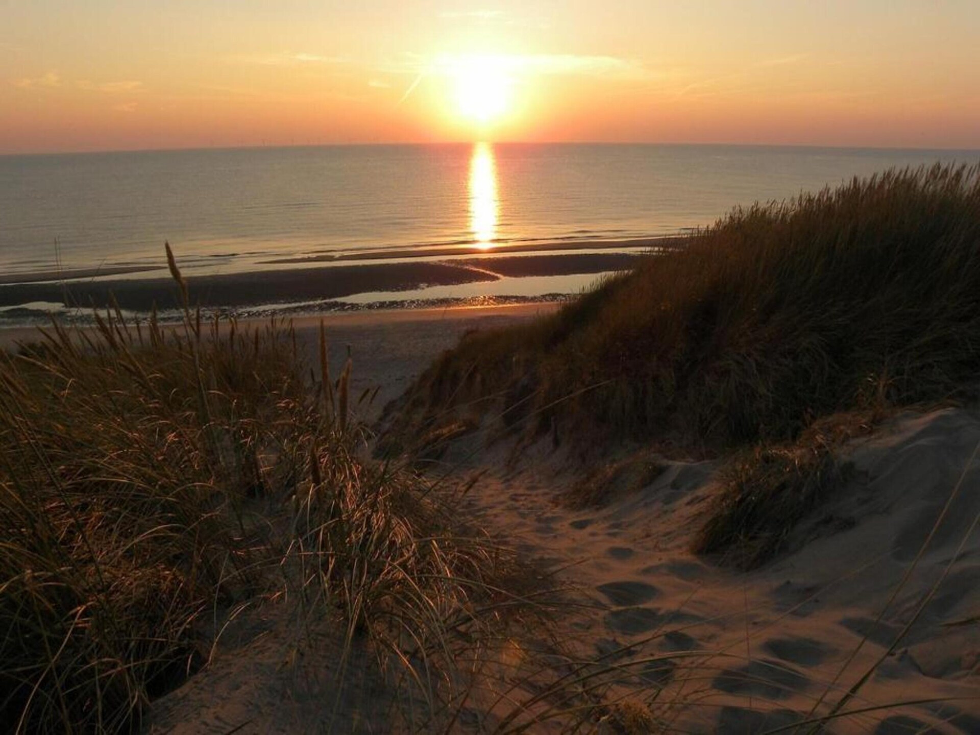 Huize Glory Parel: sfeervol vakantiehuis tussen bos en strand in Bergen aan Zee - foto 37