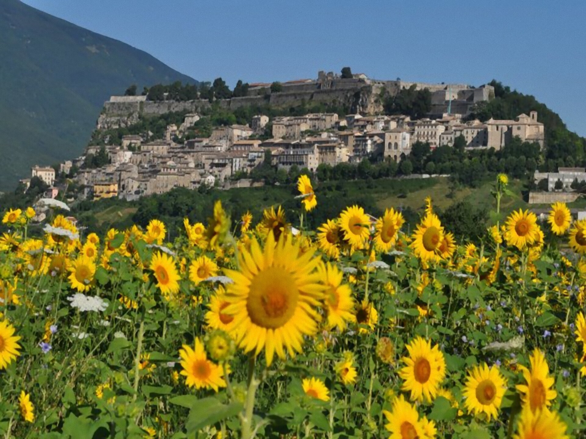 Landhuis Ninfea in Sant'Omero met uitzicht op de Abruzzese heuvels - foto 35