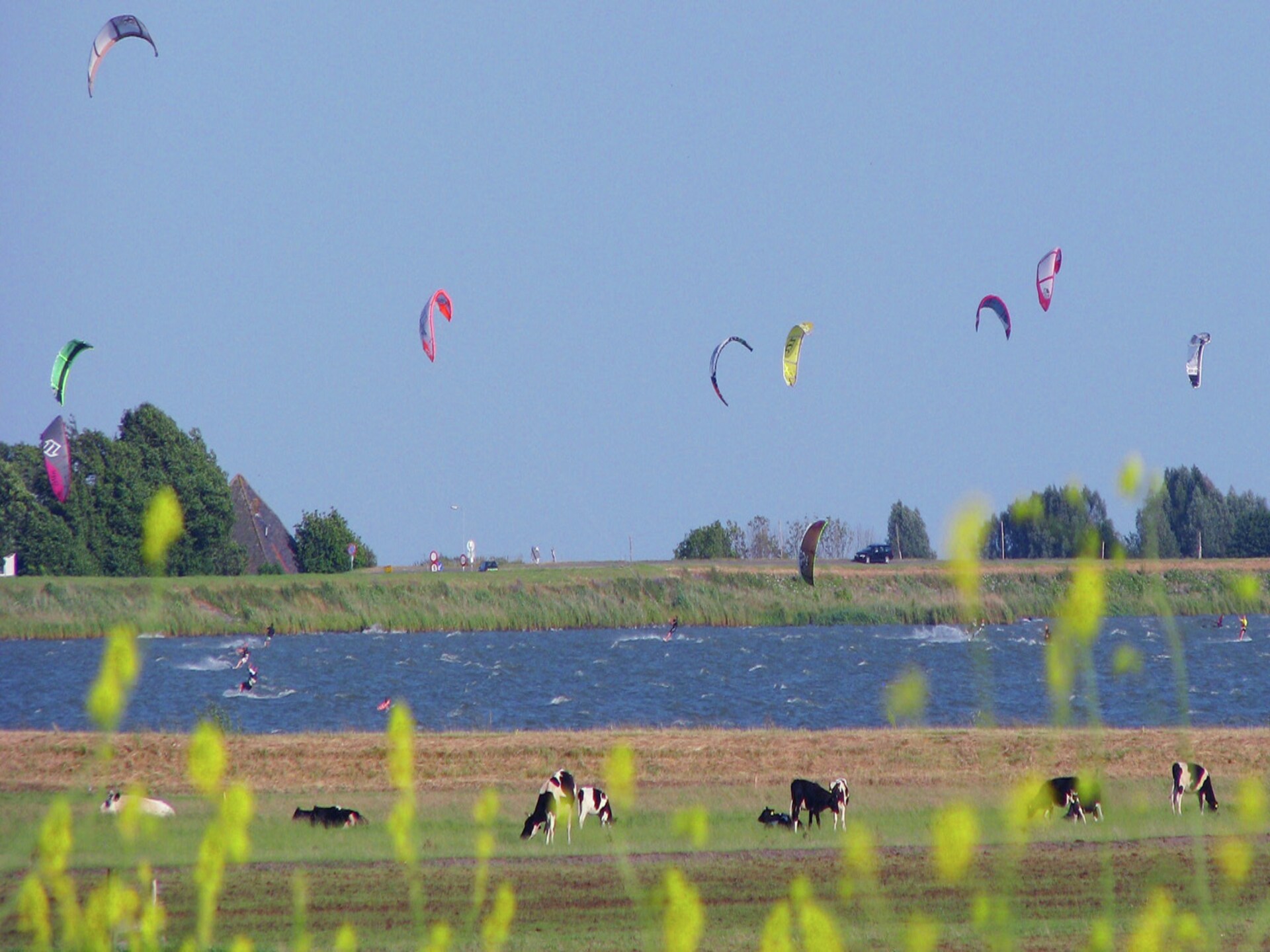 Authentiek boerderijvakantiehuis bij het Markermeer in Schellinkhout - foto 22