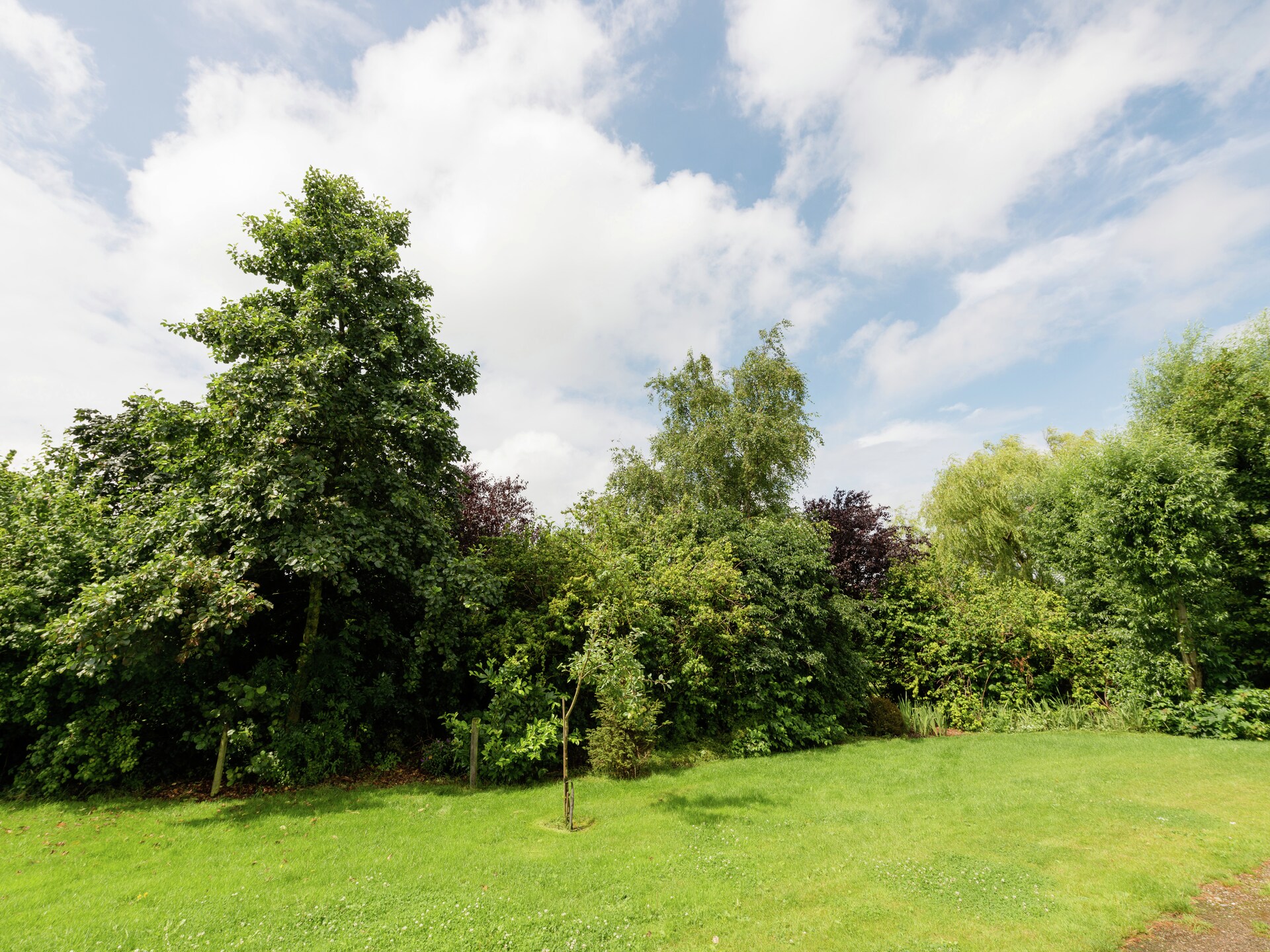 Authentiek boerderijvakantiehuis bij het Markermeer in Schellinkhout - foto 20