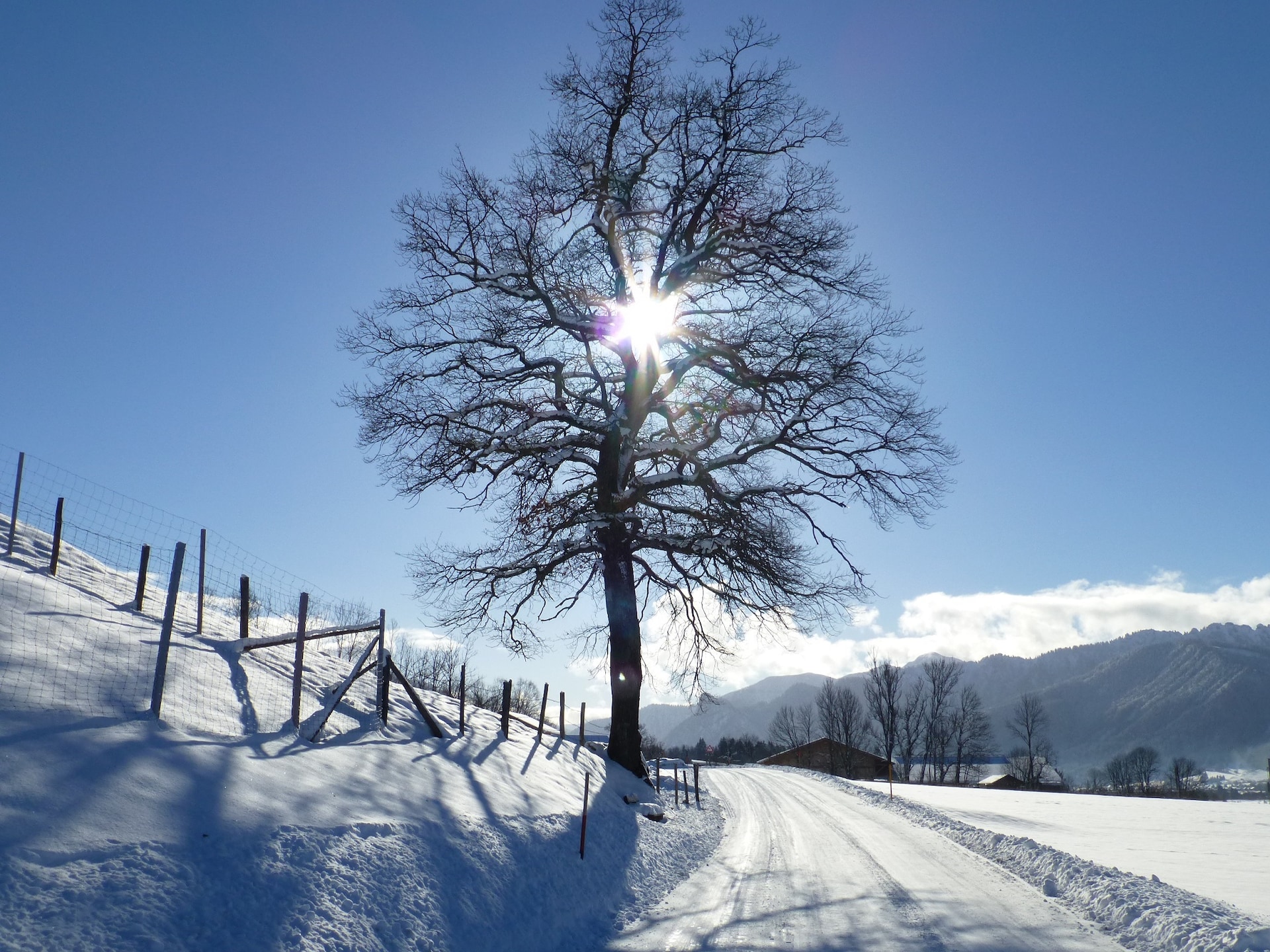 2-persoons appartement Sonnenblume aan de piste in Altenau - foto 19
