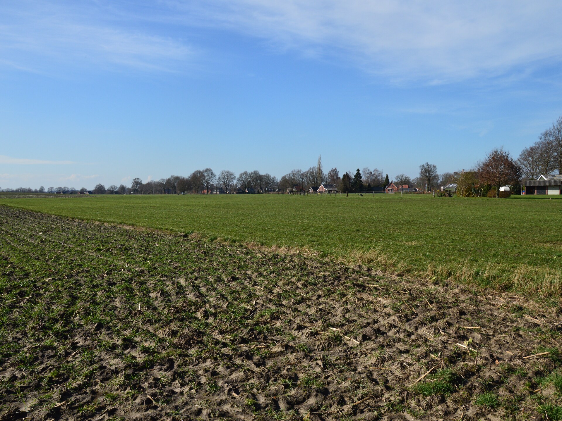 Vrijstaand vakantiehuis De Merel in bosrijk Den Ham, 4 pers. - foto 37