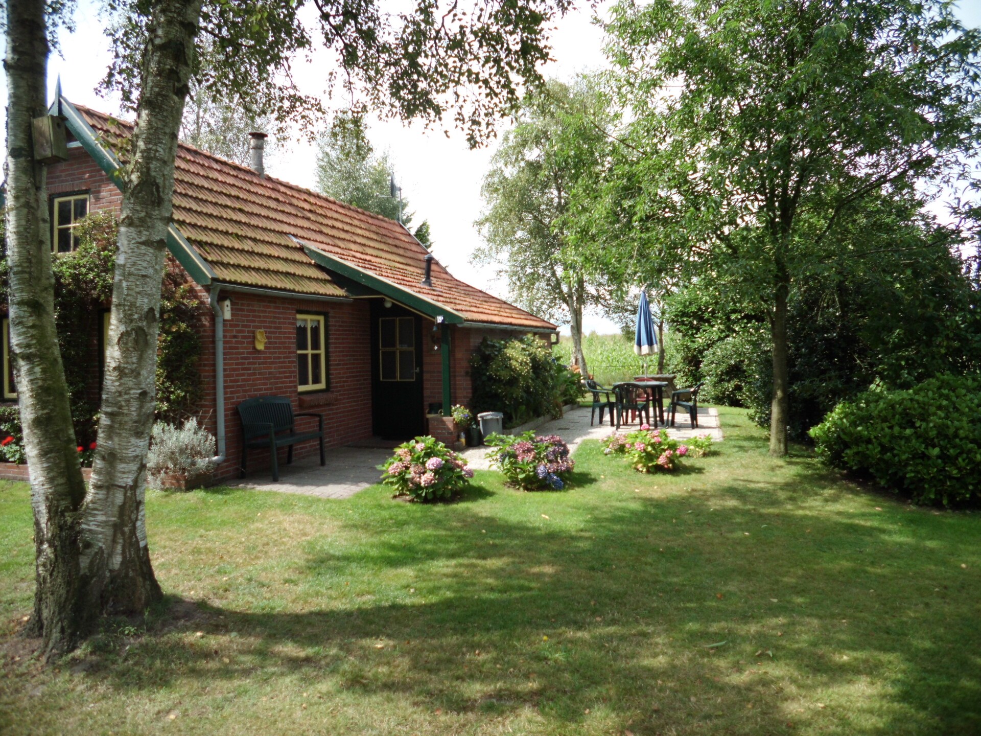 Vrijstaand vakantiehuis De Merel in bosrijk Den Ham, 4 pers. - foto 5