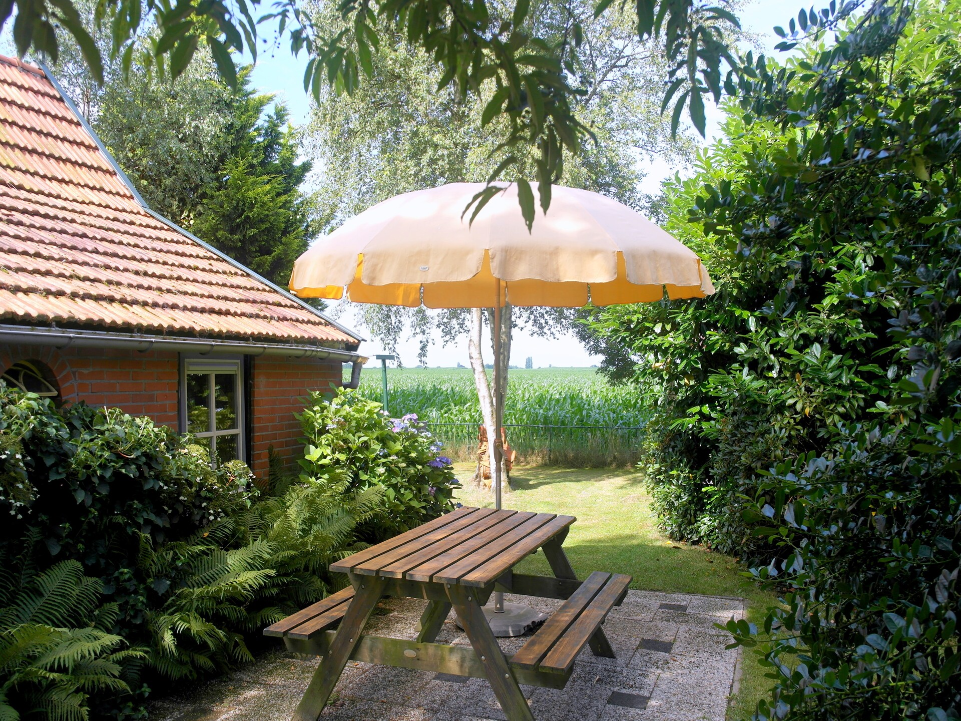 Vrijstaand vakantiehuis De Merel in bosrijk Den Ham, 4 pers. - foto 4