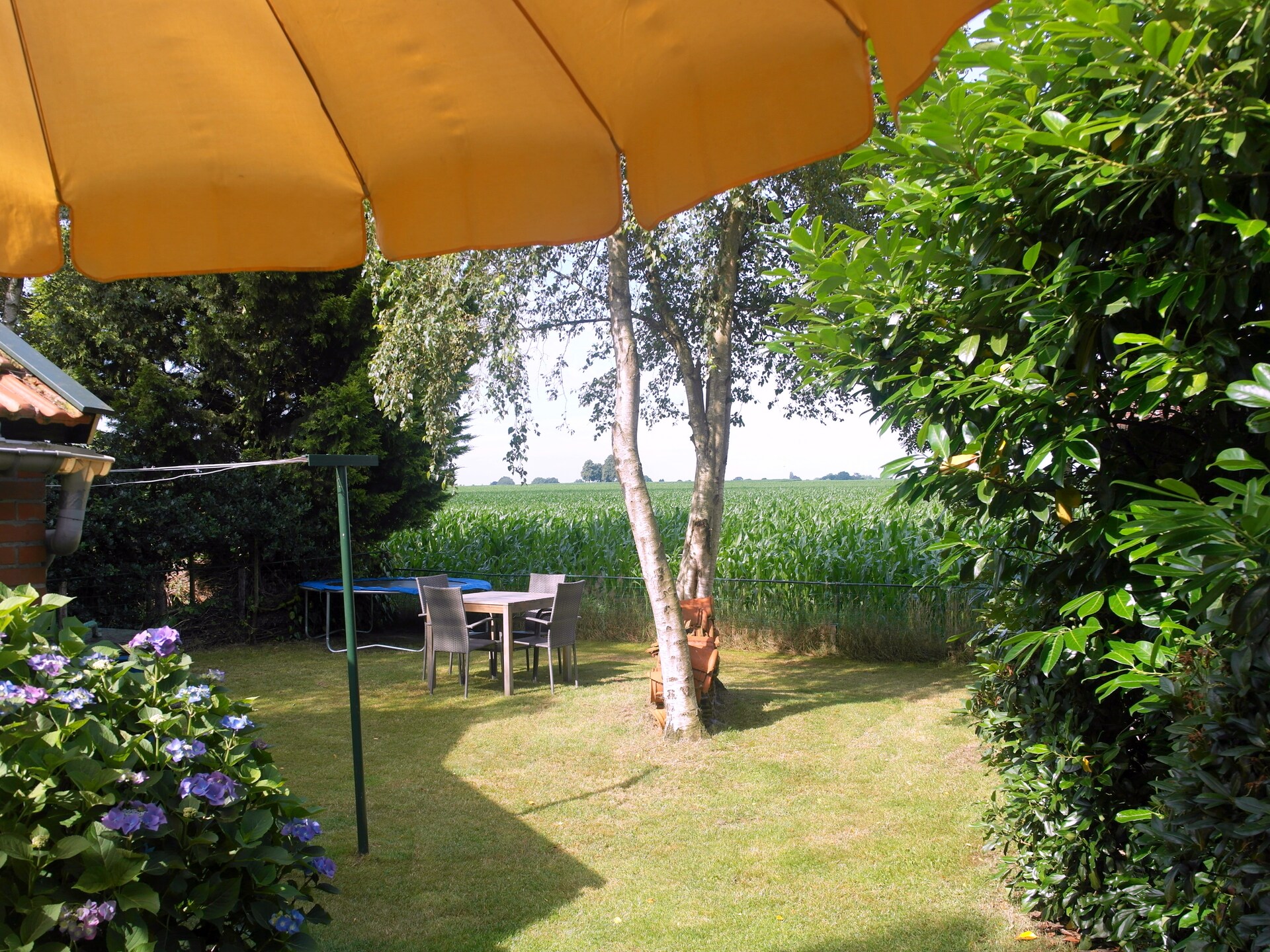 Vrijstaand vakantiehuis De Merel in bosrijk Den Ham, 4 pers. - foto 25