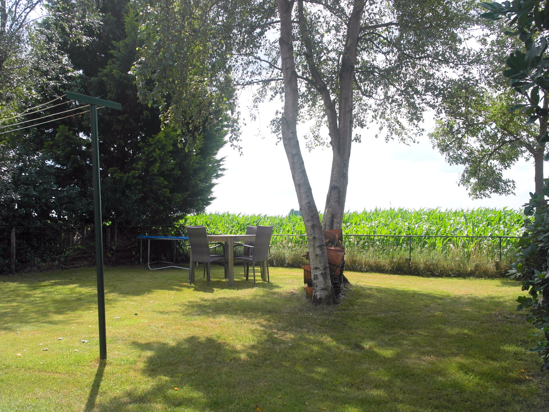 Vrijstaand vakantiehuis De Merel in bosrijk Den Ham, 4 pers. - foto 28
