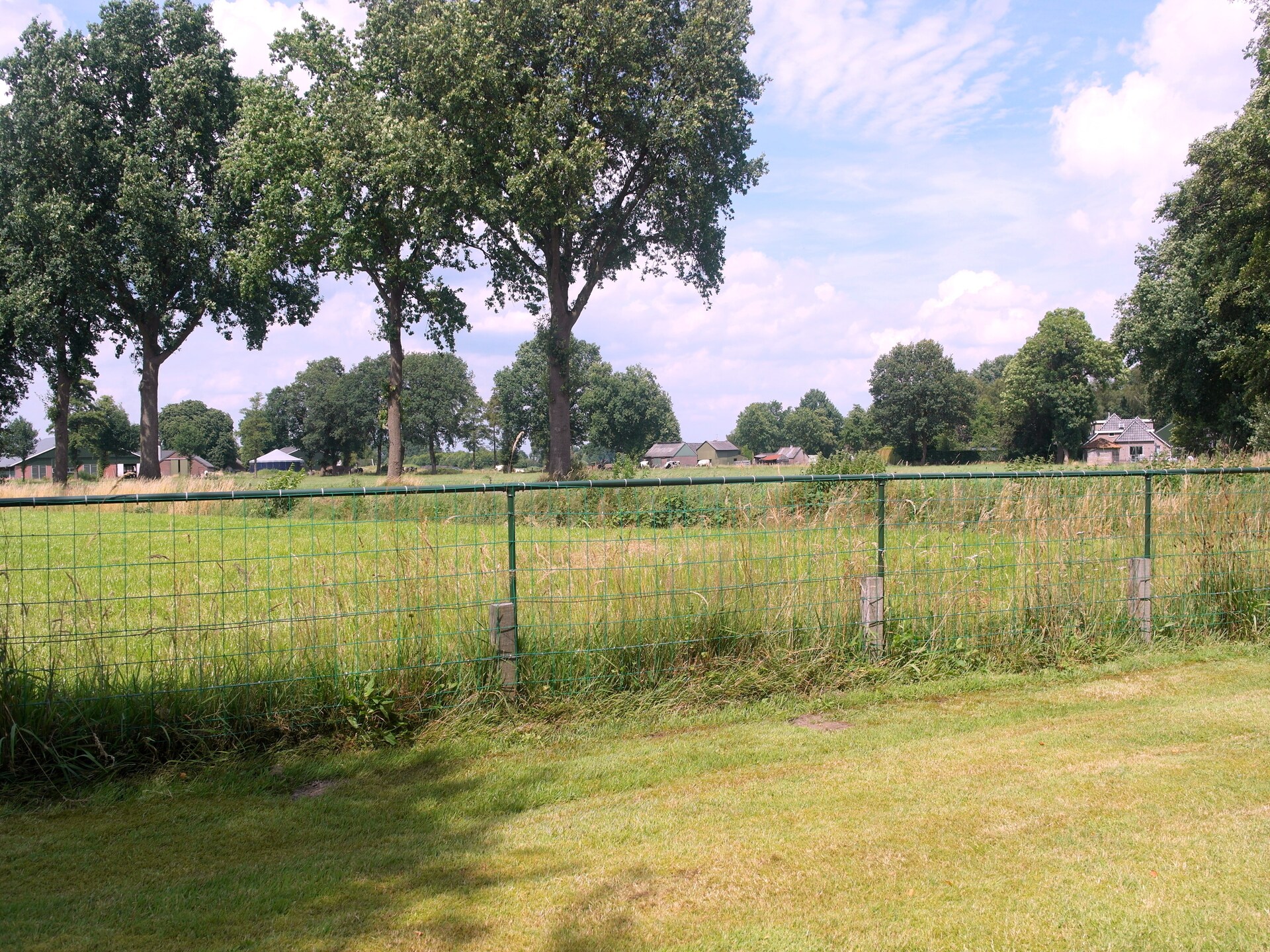 Vrijstaand vakantiehuis De Merel in bosrijk Den Ham, 4 pers. - foto 31