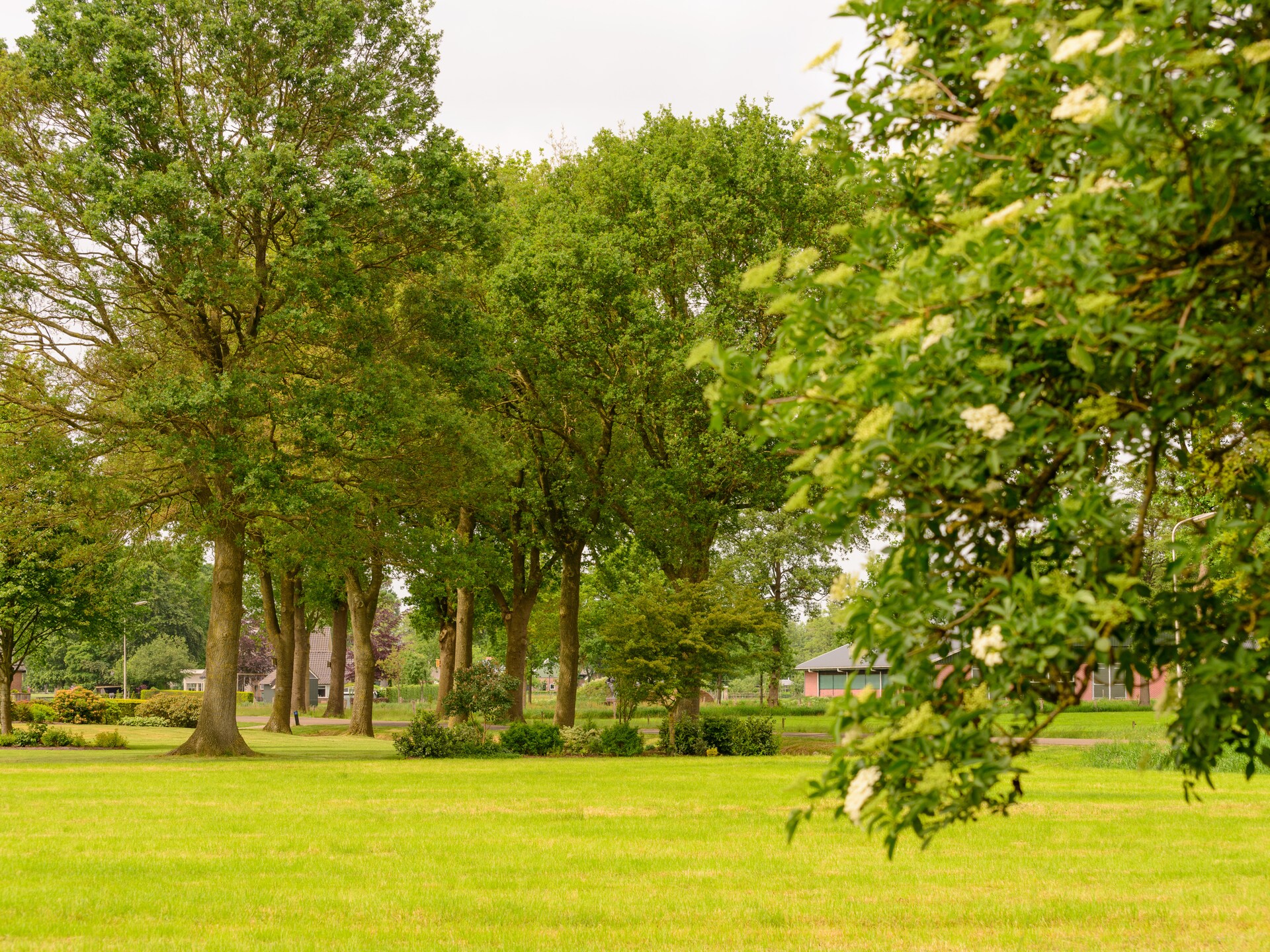 Vrijstaand vakantiehuis De Merel in bosrijk Den Ham, 4 pers. - foto 34
