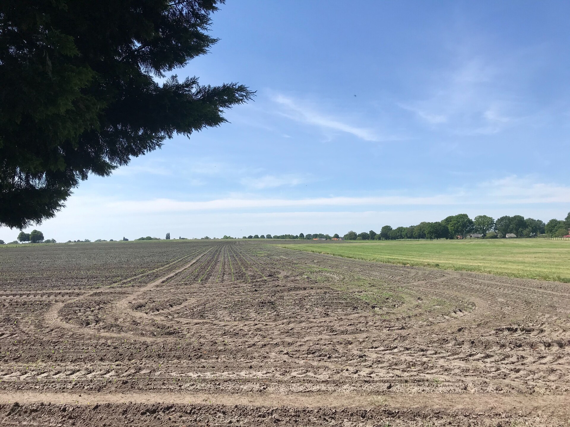 Vrijstaand vakantiehuis De Merel in bosrijk Den Ham, 4 pers. - foto 36