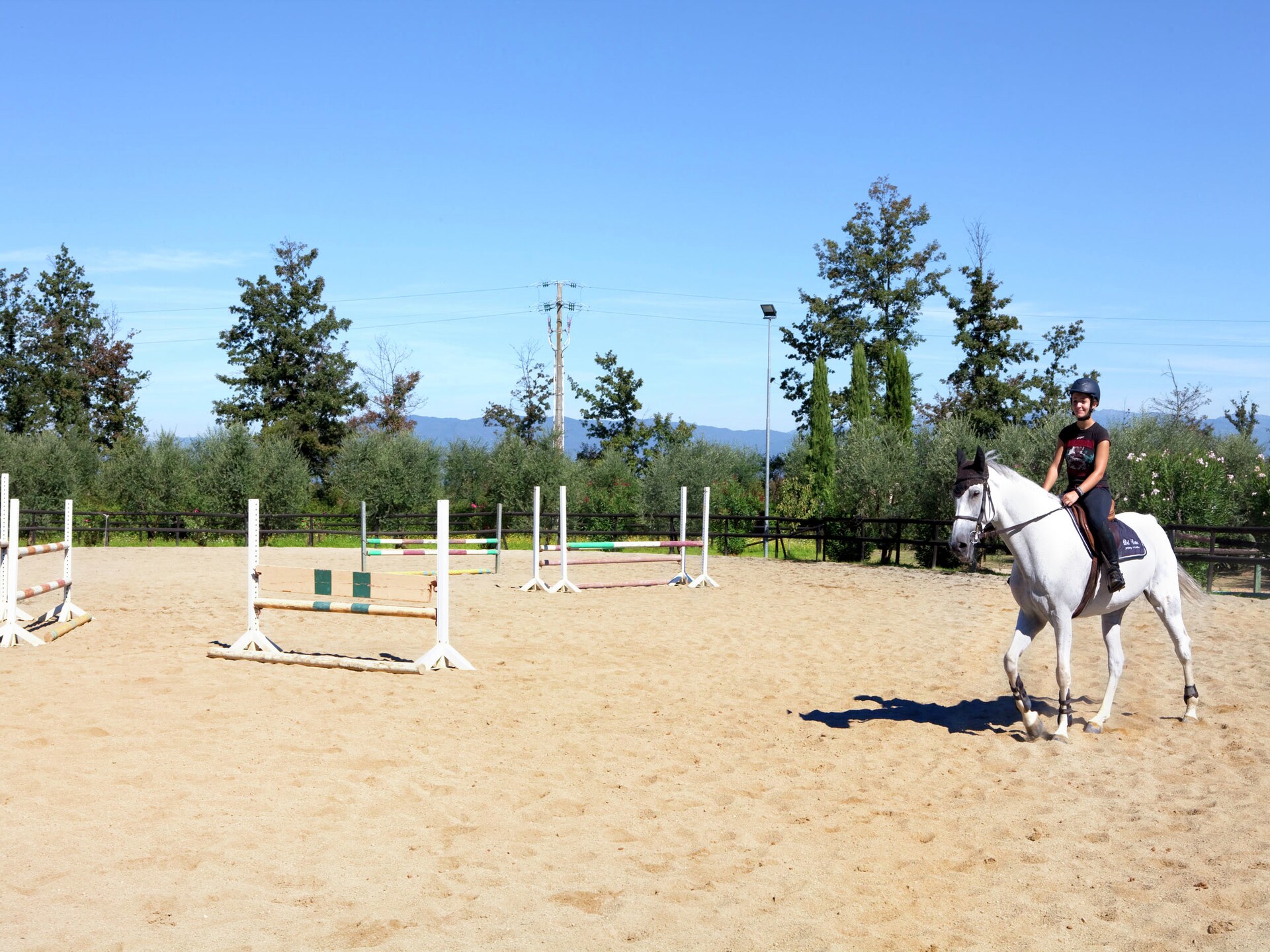 Sfeervol boerderij-appartement in Toscaanse heuvels bij Fucecchio met wellness - foto 8
