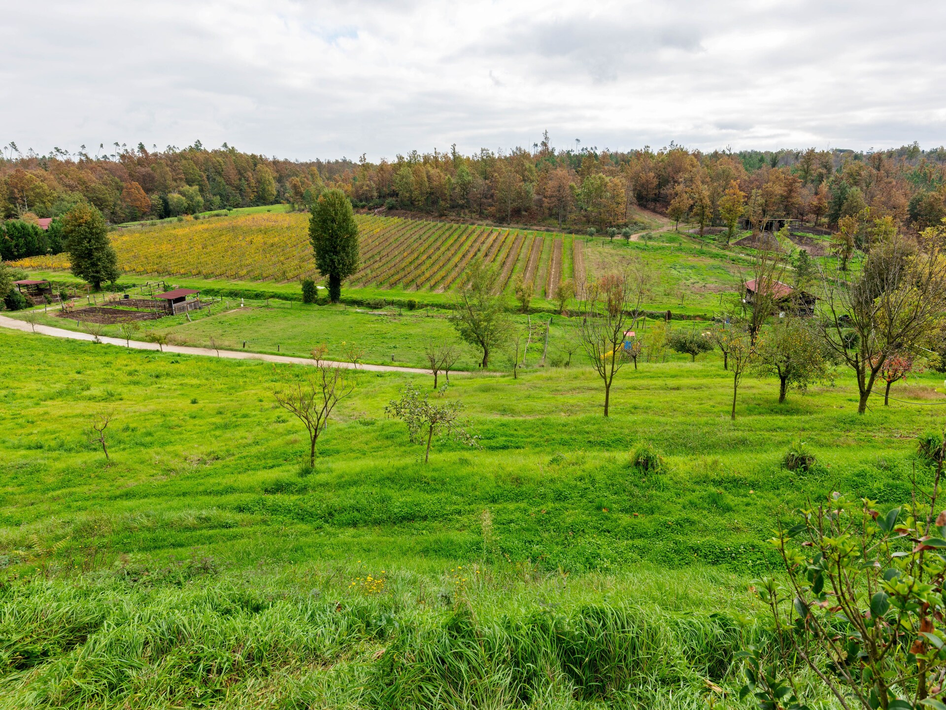 Sfeervol boerderij-appartement in Toscaanse heuvels bij Fucecchio met wellness - foto 34