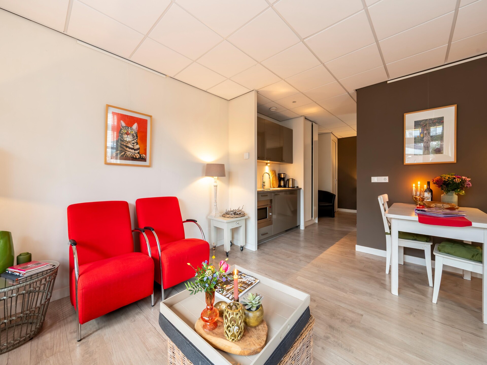 Hof van Craeck I: Stijlvol appartement in artistiek Bergen, vlakbij bos en strand - foto 9