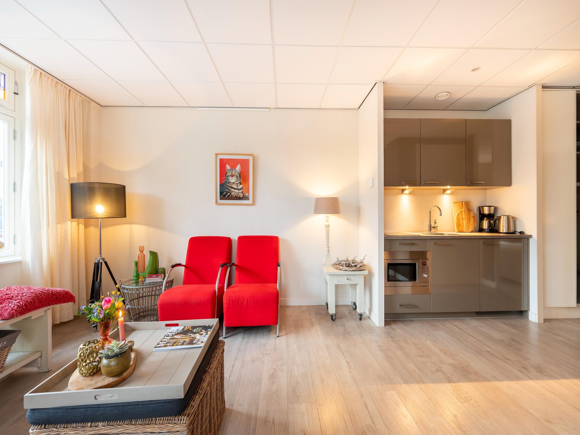 Hof van Craeck I: Stijlvol appartement in artistiek Bergen, vlakbij bos en strand - foto 11