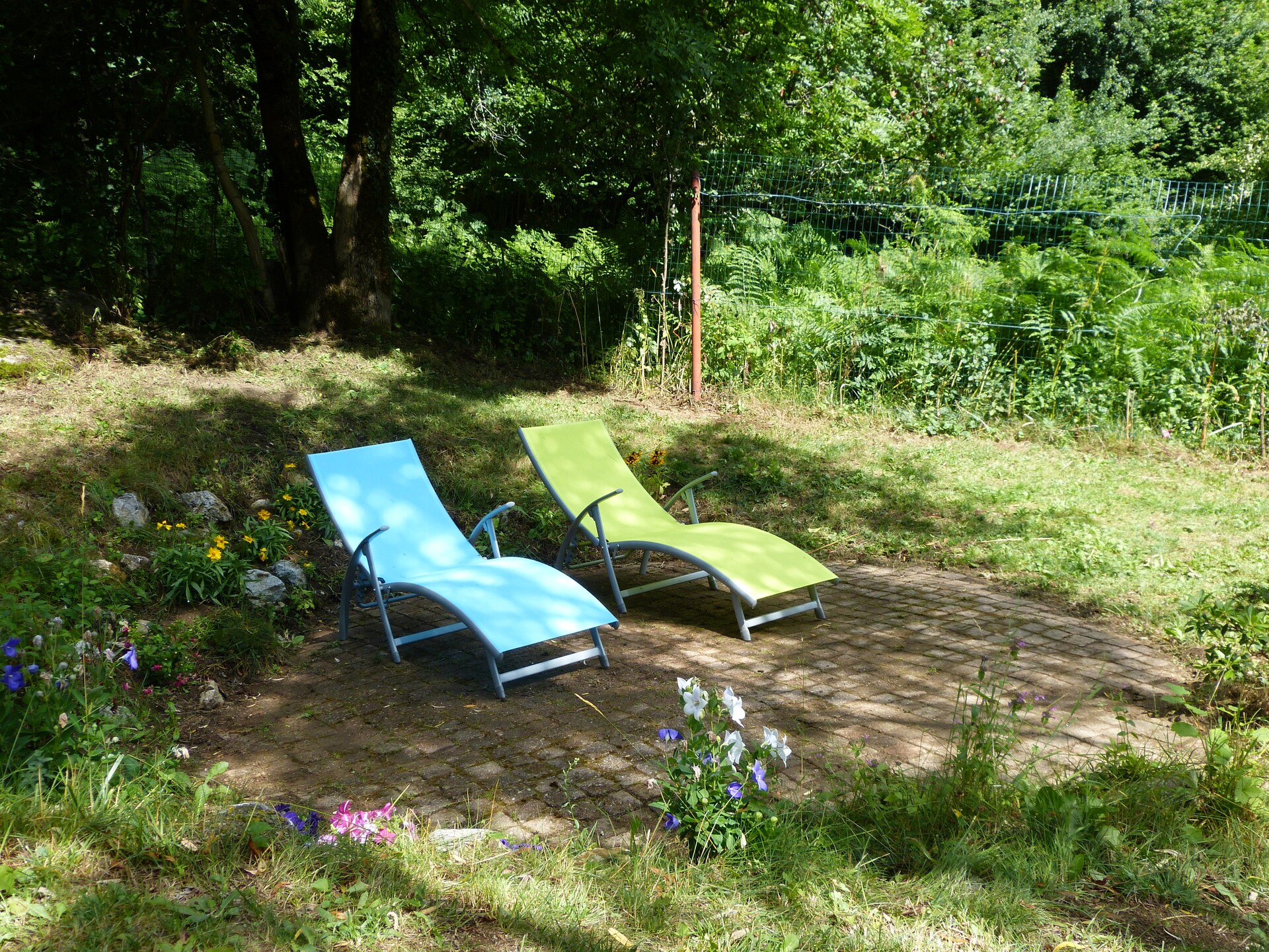 Bergvilla voor 4 in Roquefort-de-Sault met tuin, BBQ en directe wandelpaden - foto 16