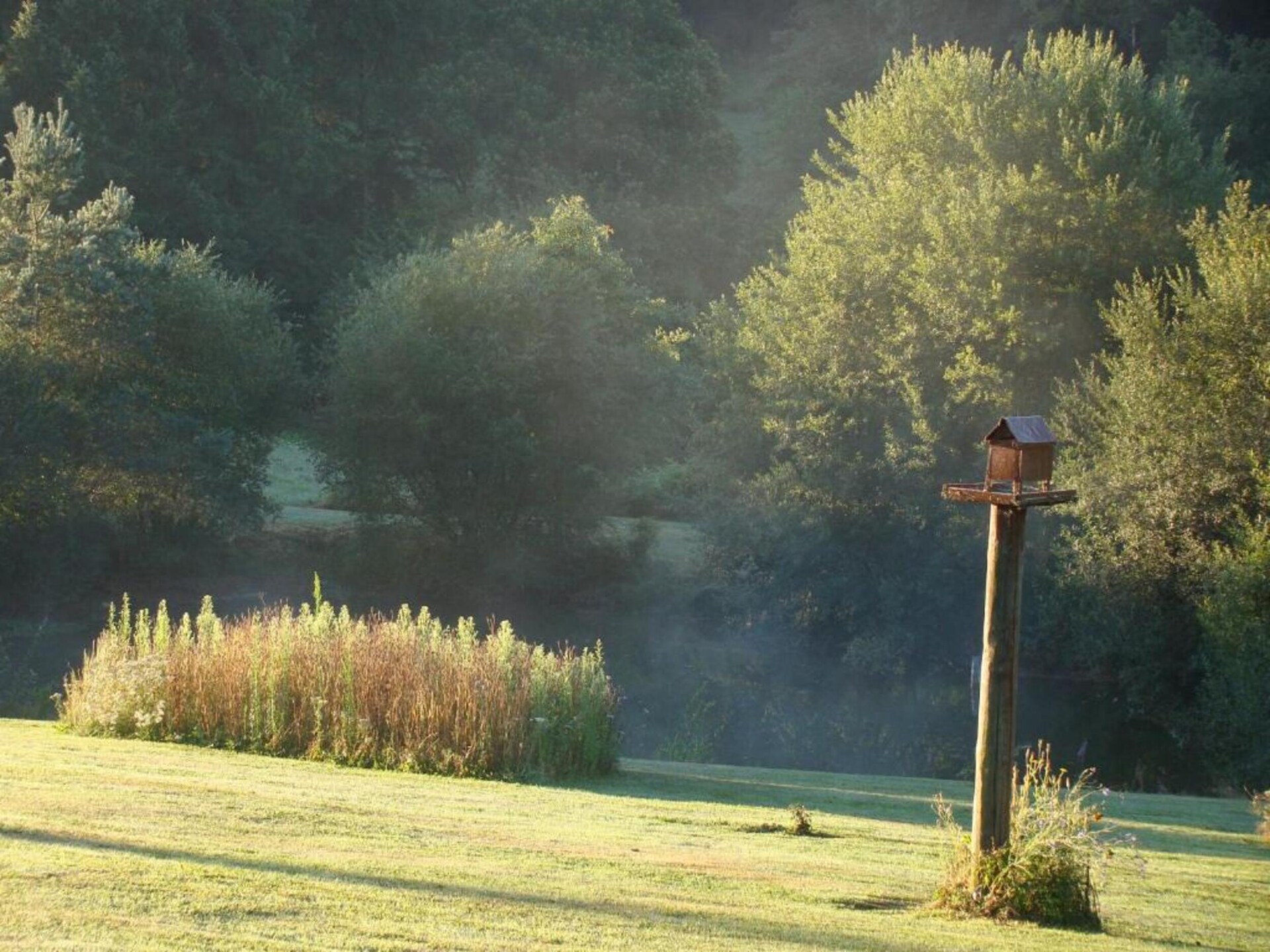 L'Ecole: sfeervol vakantiehuis voor 4 in het groene hart van Limousin - foto 23