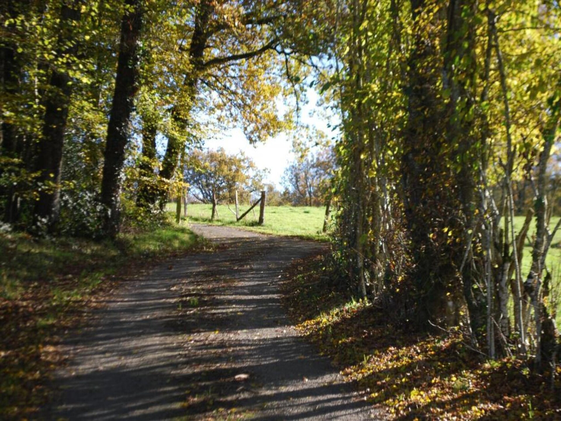 L'Ecole: sfeervol vakantiehuis voor 4 in het groene hart van Limousin - foto 26