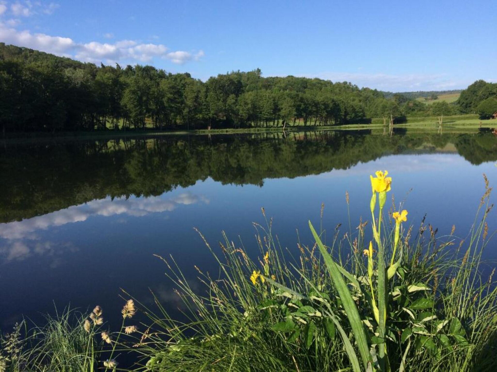 L'Ecole: sfeervol vakantiehuis voor 4 in het groene hart van Limousin - foto 30