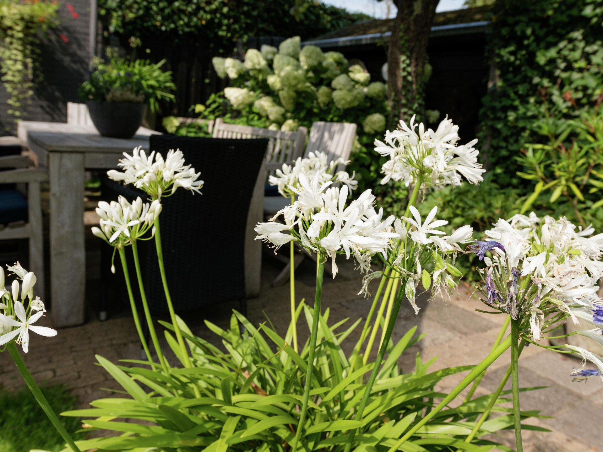 Hof van Craeck III – Stijlvol appartement in hartje Bergen met tuin - foto 24