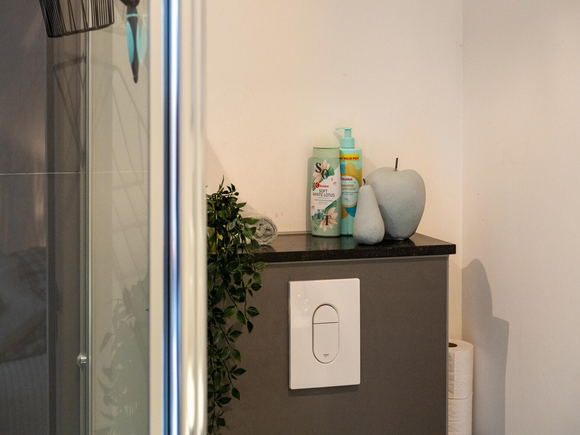 Hof van Craeck III – Stijlvol appartement in hartje Bergen met tuin - foto 32