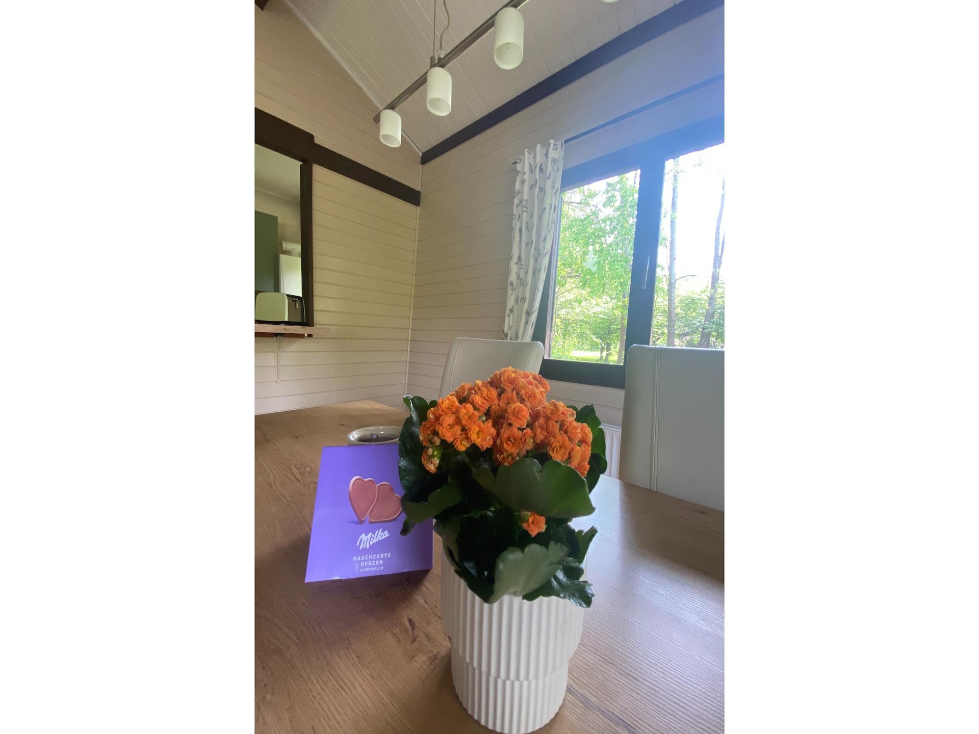 Rustgevend vakantiehuis voor 4 personen in Eschede - foto 8