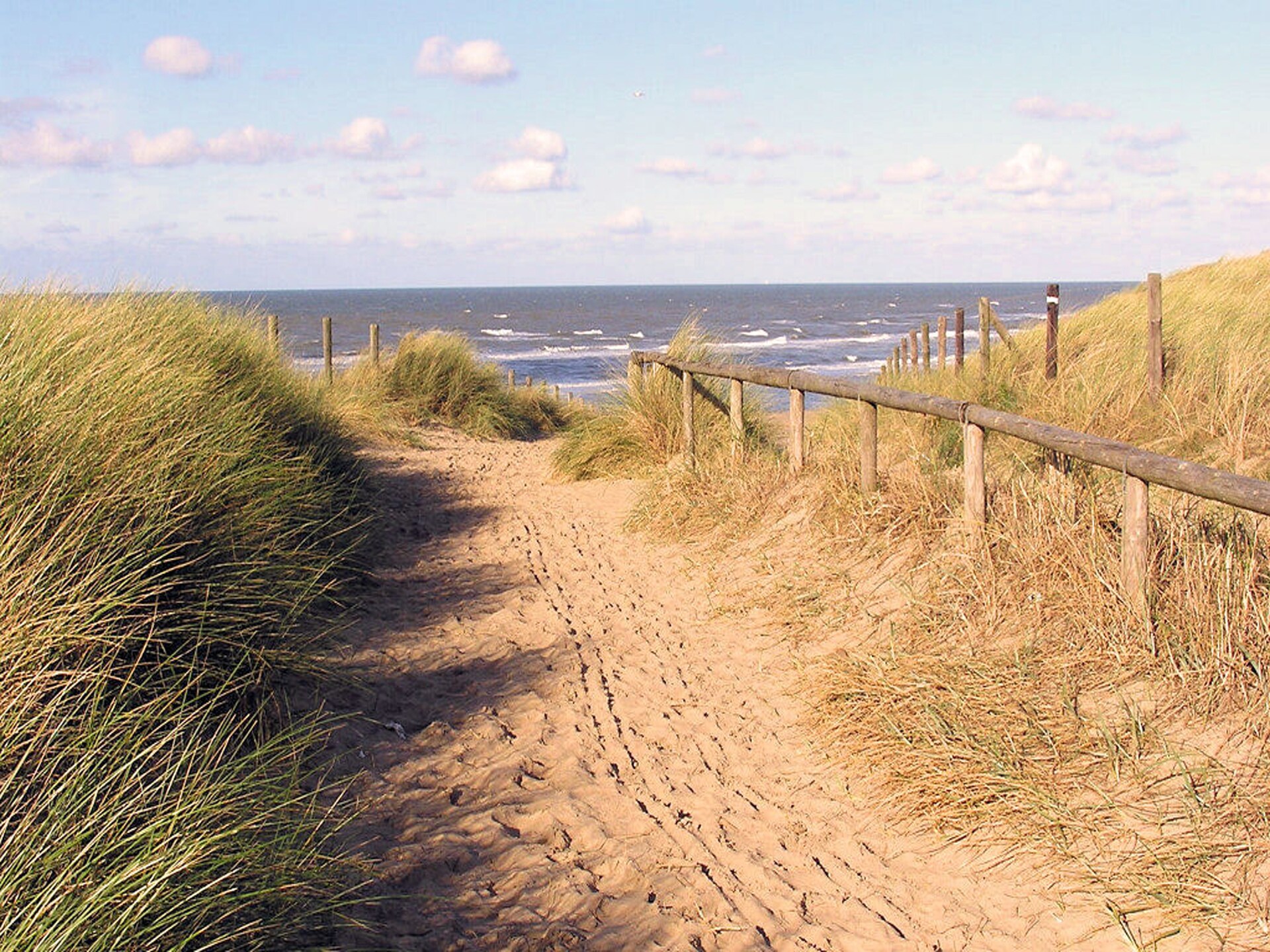 Marie aan Zee: Vrijstaand boshuis met piano en open haard bij Noordwijk - foto 27