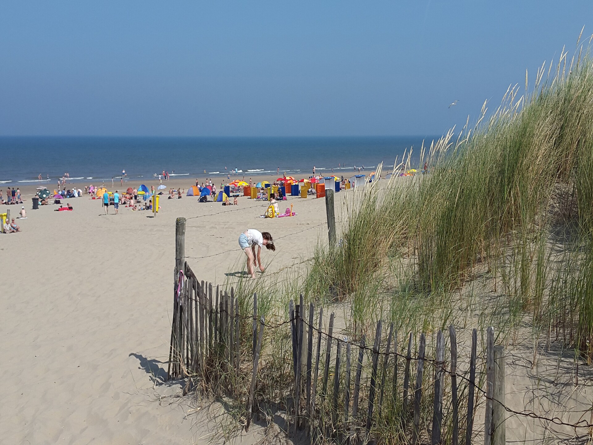 Marie aan Zee: Vrijstaand boshuis met piano en open haard bij Noordwijk - foto 29