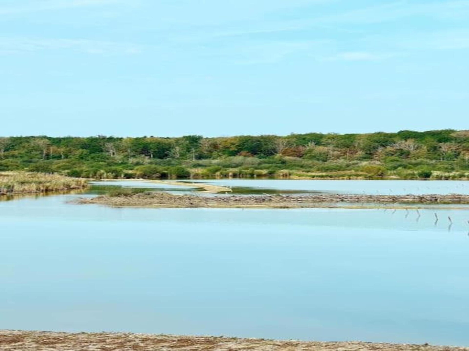 Sfeervolle bungalow De Boshut in Oignies voor 8 personen - foto 27