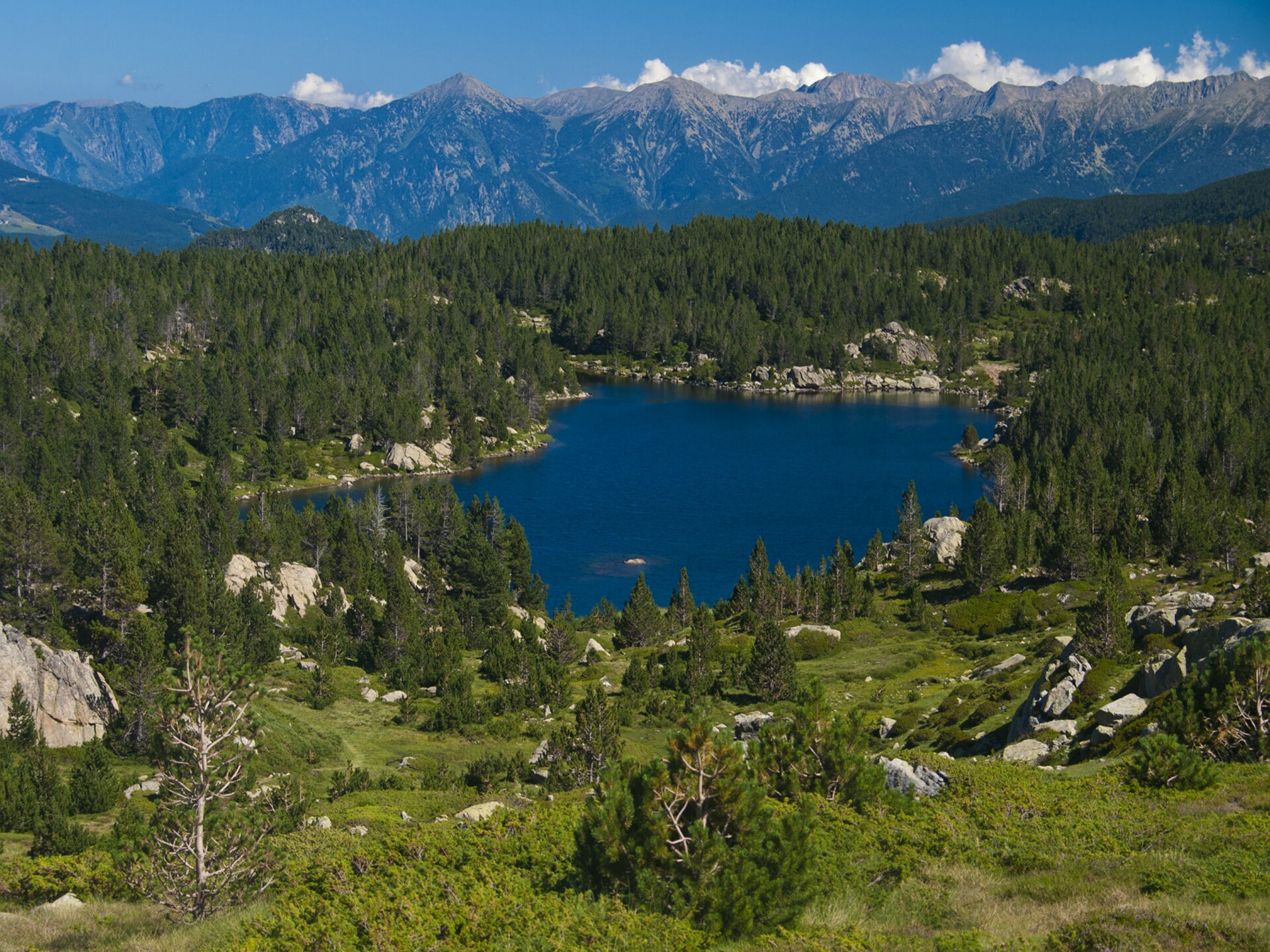 Panoramisch chalet in de bossen van Ayguatebia-Talau voor 6 personen - foto 24
