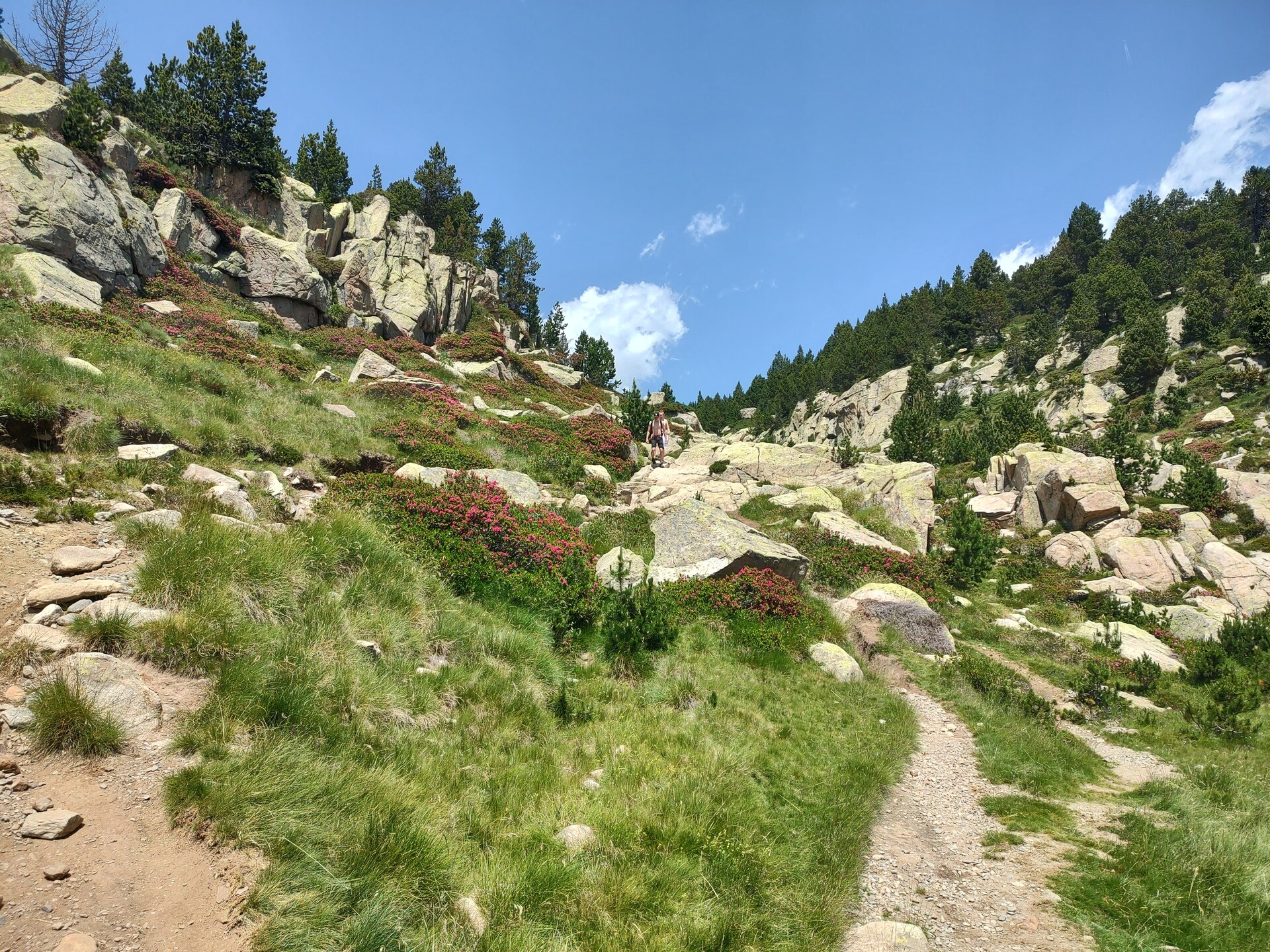 Panoramisch chalet in de bossen van Ayguatebia-Talau voor 6 personen - foto 23