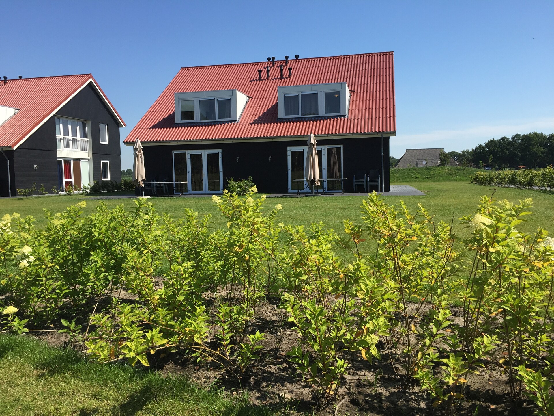Résidence de Weerribben 4: Luxe vakantiehuis voor 8 personen in Weerribben - foto 11