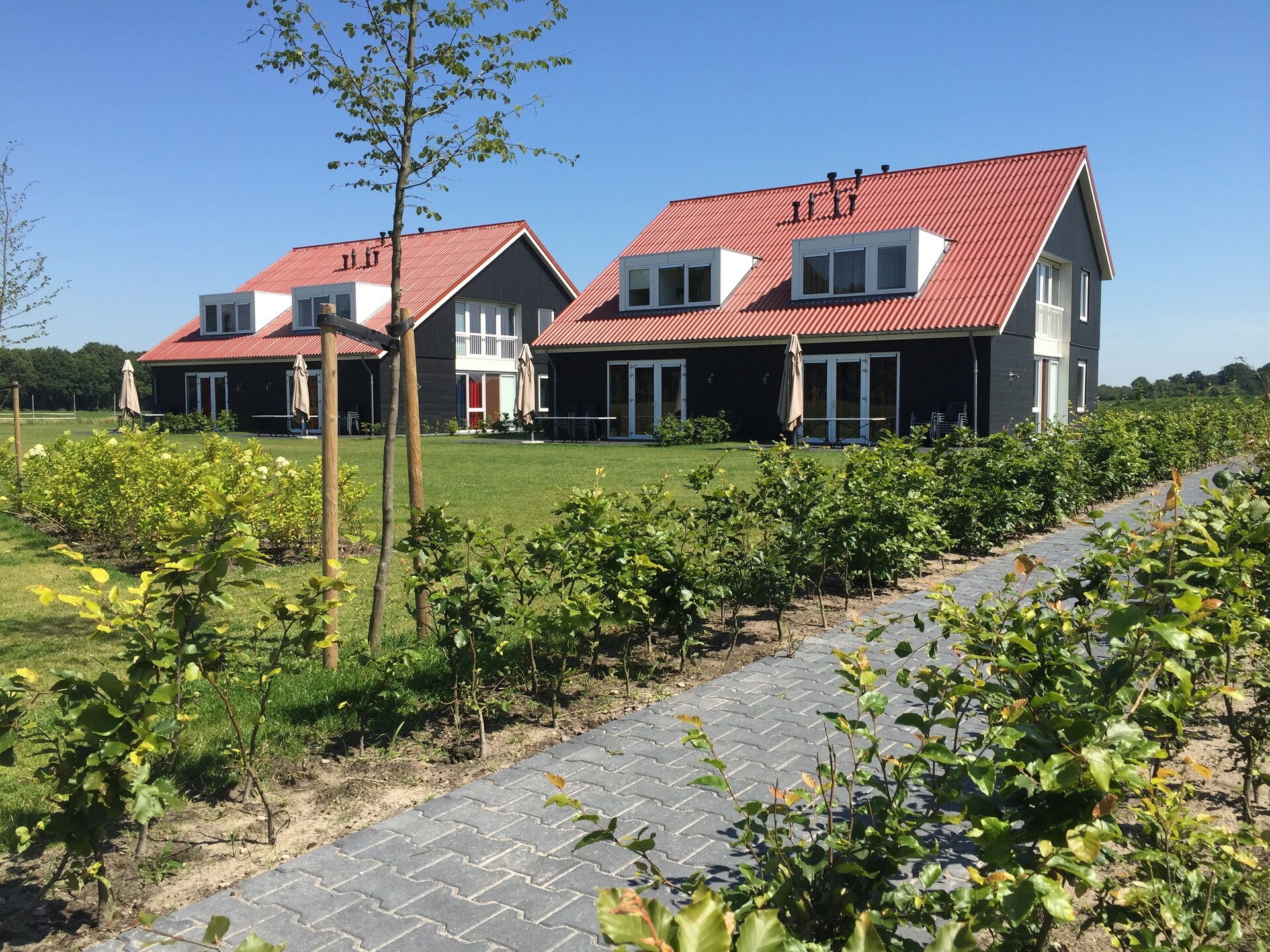 Résidence de Weerribben 2: Luxe groepsaccommodatie voor 16 personen in natuurgebied - foto 11