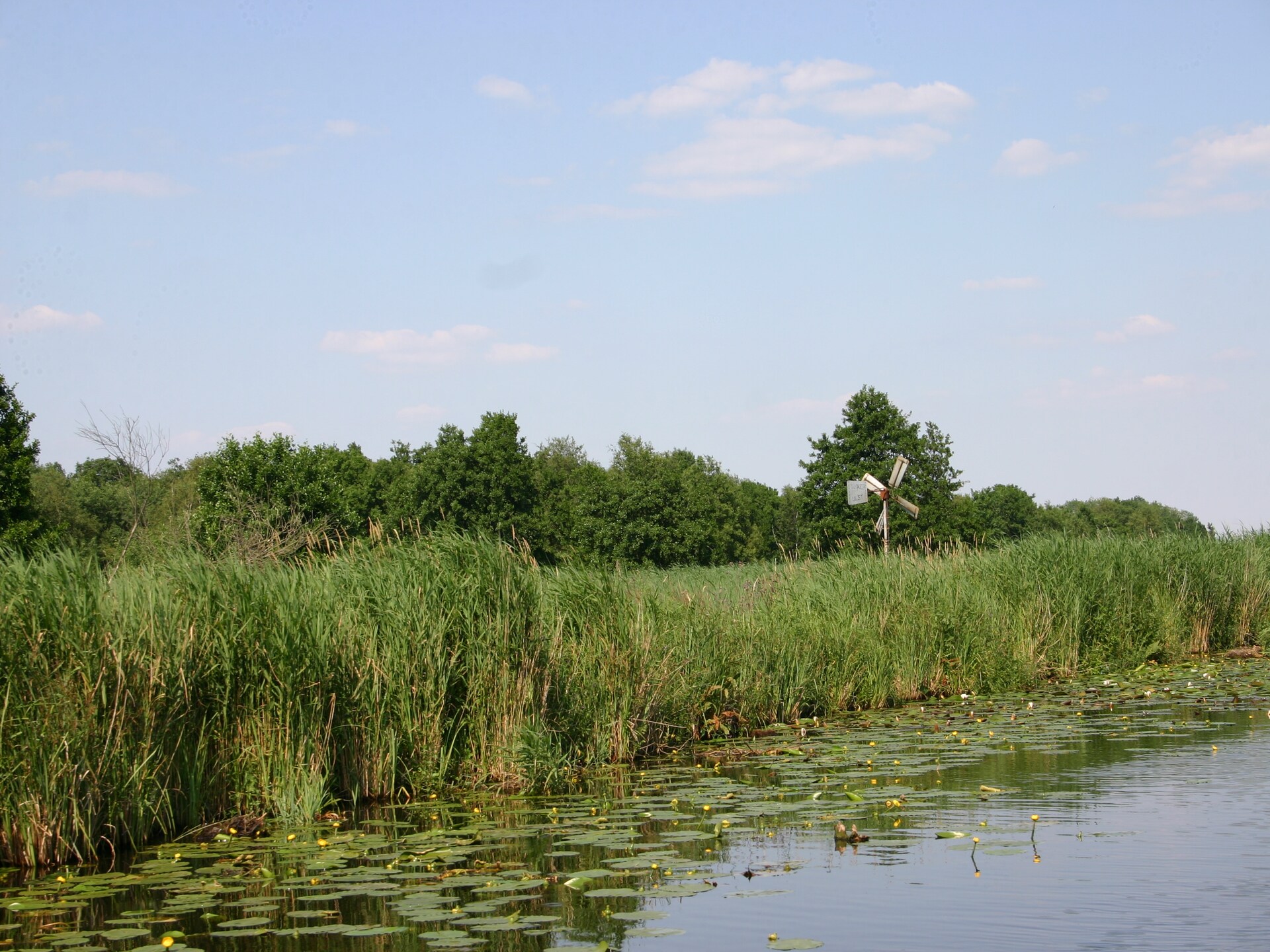 Luxe water villa met aanlegsteiger aan Belterwiedemeer - foto 29
