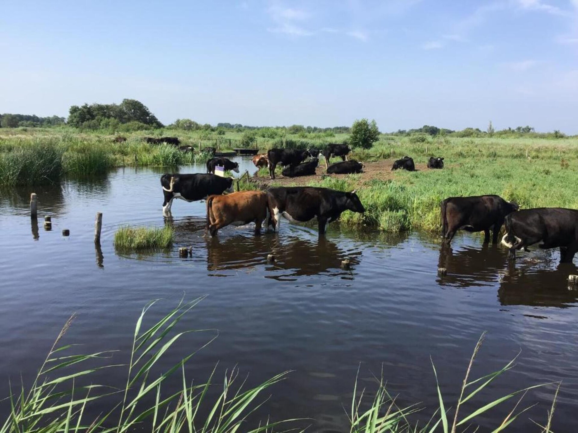 Luxe water villa met aanlegsteiger aan Belterwiedemeer - foto 20
