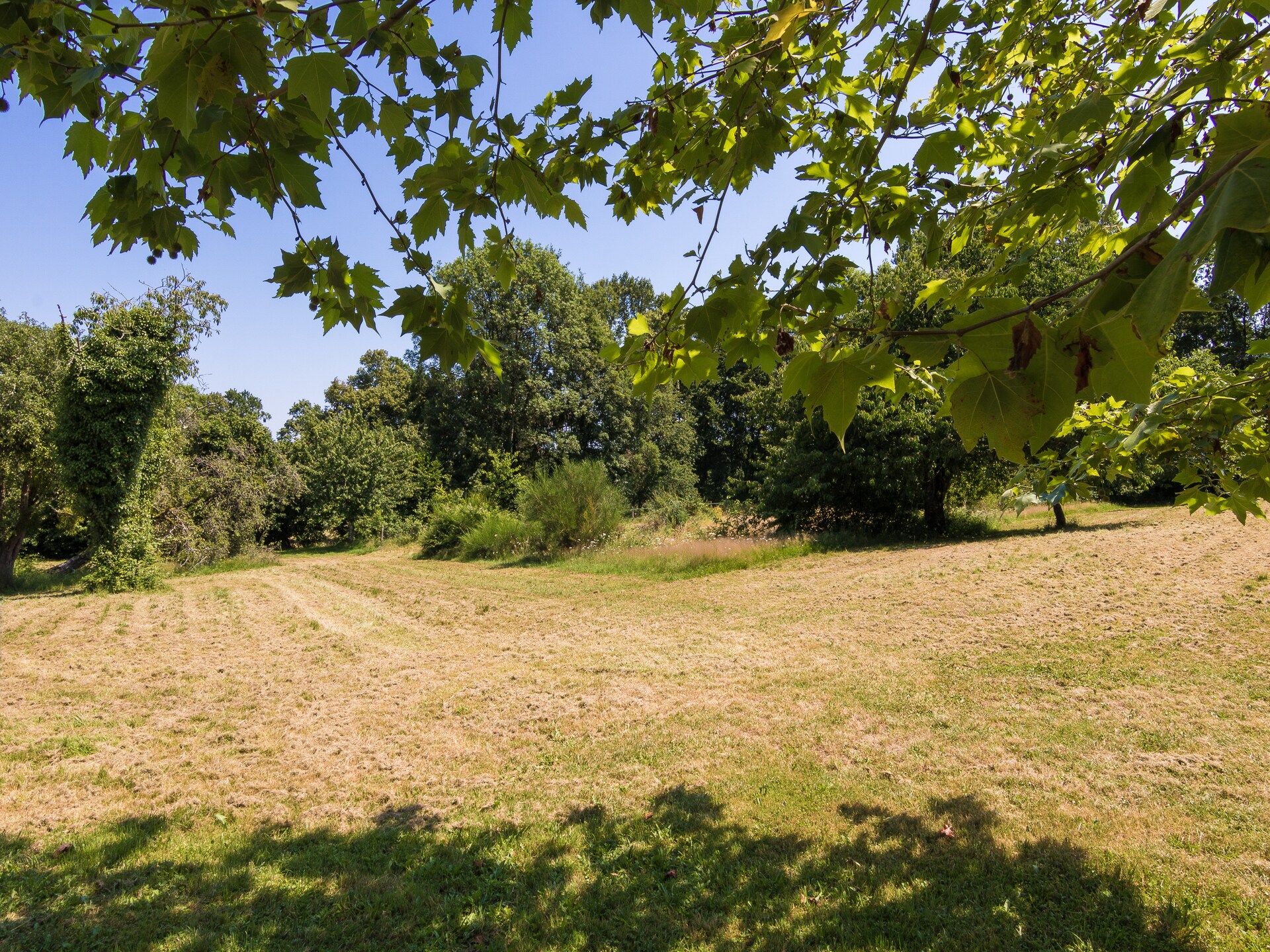 Op 1,0 km van het meer: Landhuis La Grande Maison in Chalais - foto 22