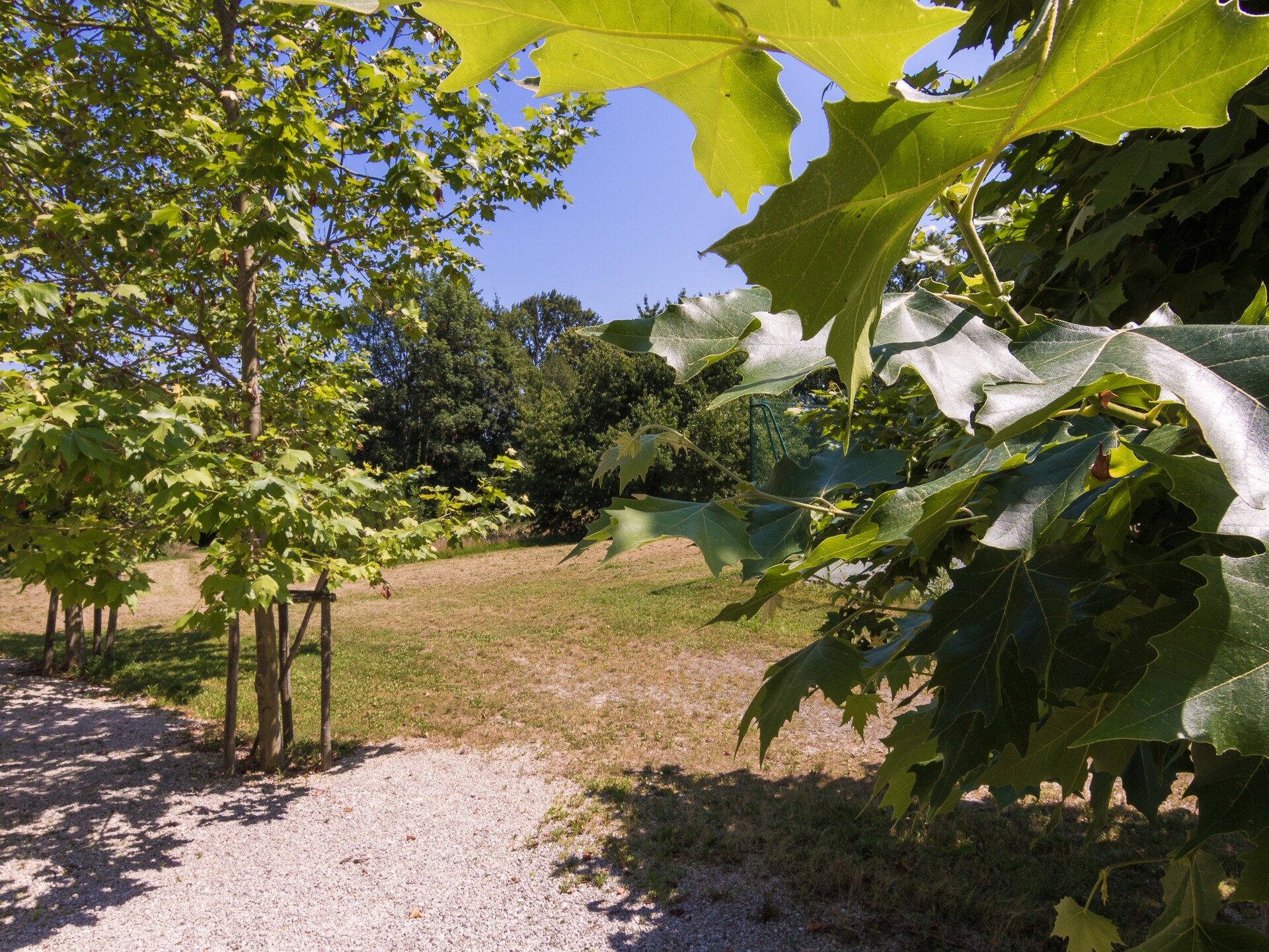 4-persoons landhuis La Petite Maison in Chalais - foto 18