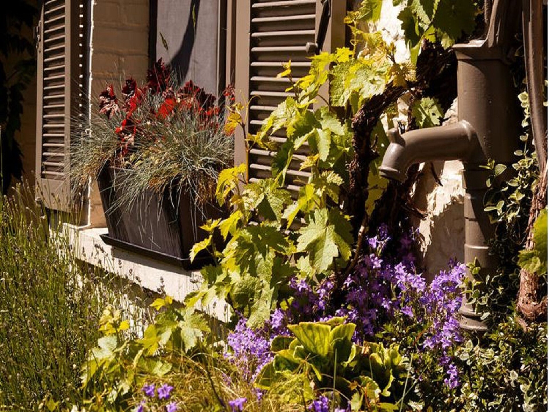 4-persoons landhuis met haard en terras in Gimnee - foto 36