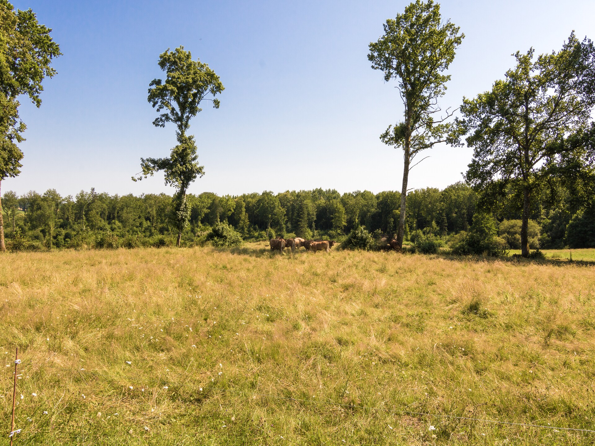 Op 1,0 km van het meer: Kasteelappartement in Chalais - foto 20
