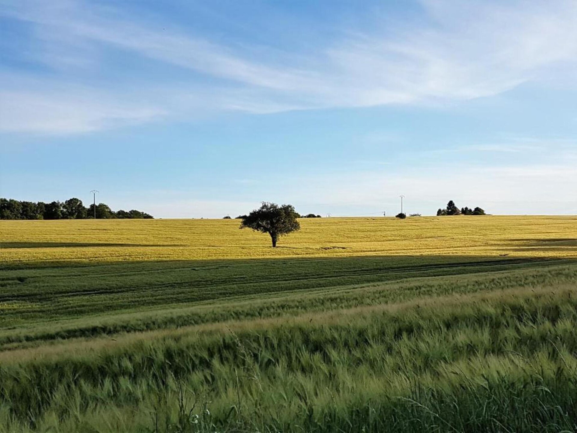 Op 1,0 km van het meer: Kasteelappartement in Chalais - foto 28