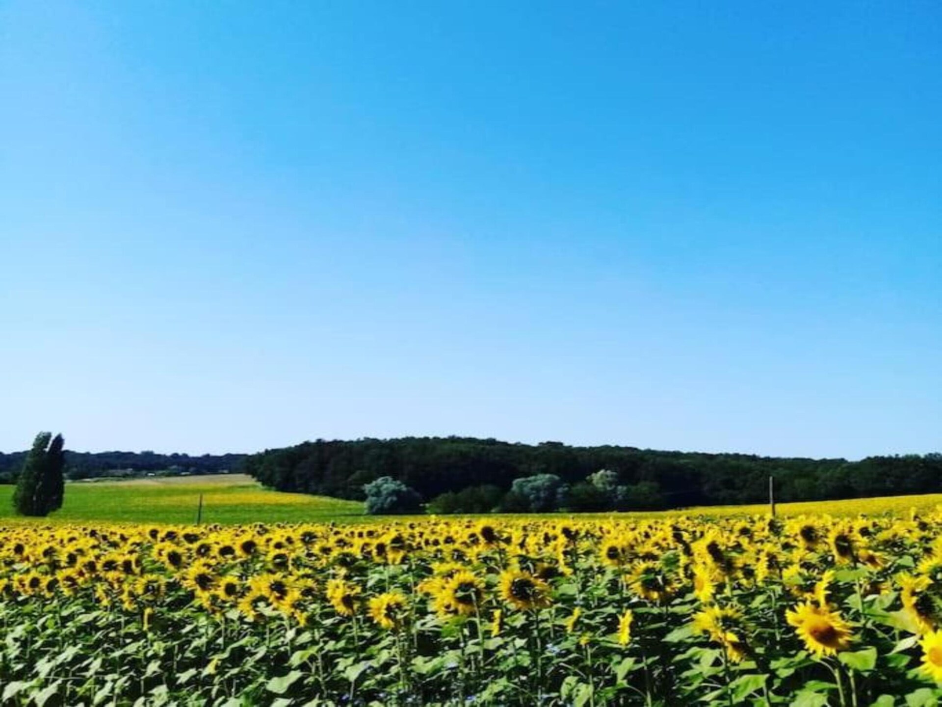 Op 1,0 km van het meer: Kasteelappartement in Chalais - foto 31