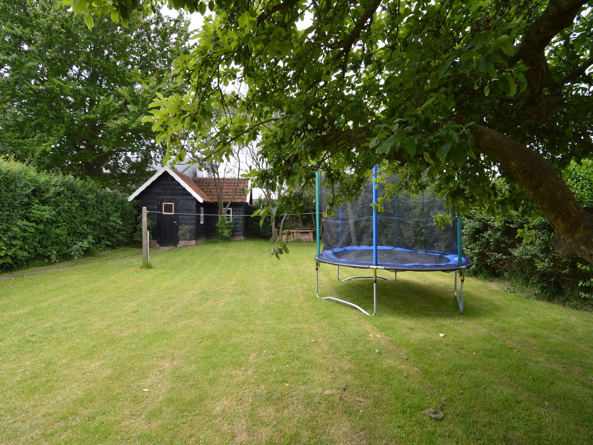 Knook: Vrijstaand vakantiehuis met tuin, 2 km van het strand - foto 28