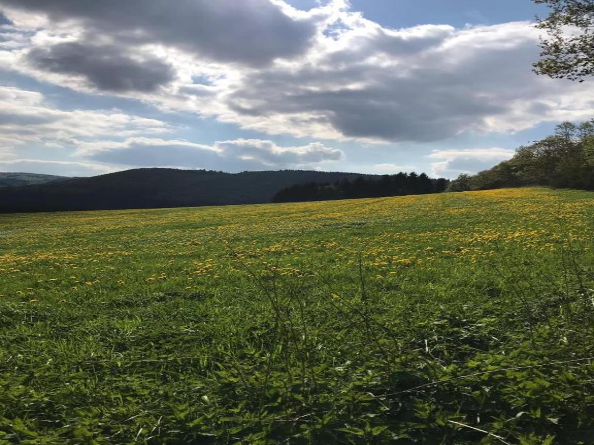 Aan de piste: Ruim vakantiehuis in centrum Winterberg voor 25 personen - foto 27